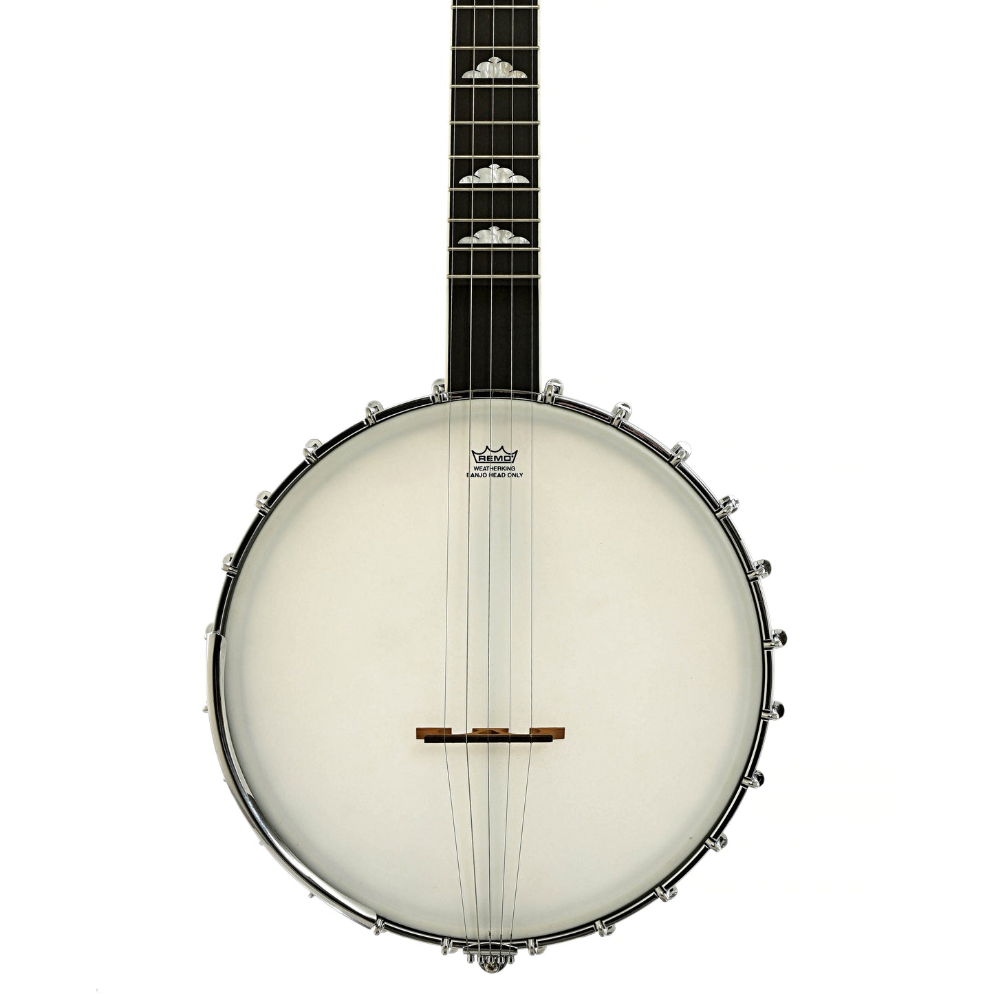 Front of Gold Tone WL-250 White Laydie Openback Banjo 