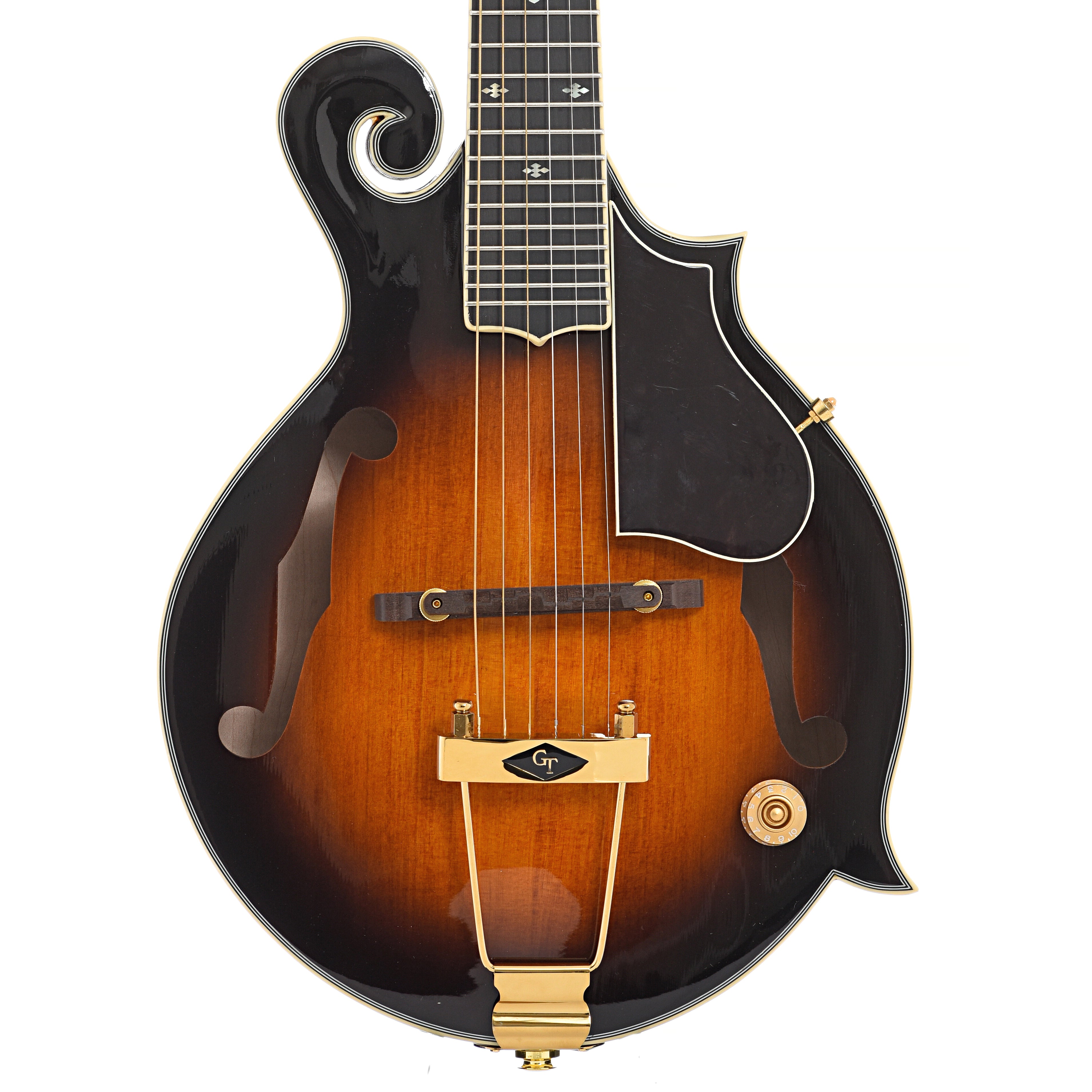 Manditar Instrument Gold Tone F-6 Plus Manditar & Case with Pickup & Volume Control ...