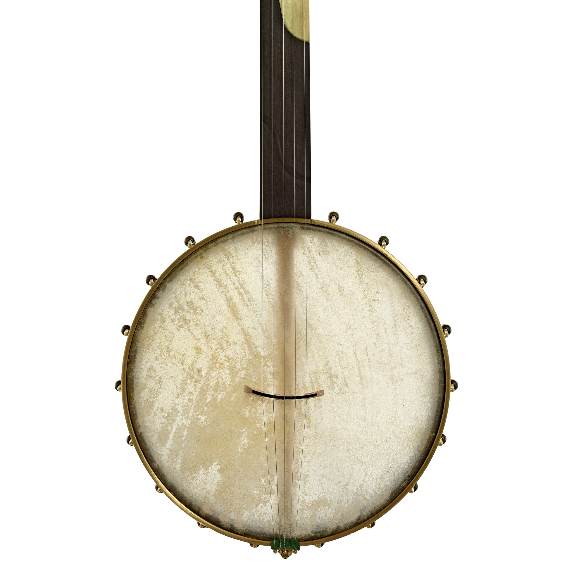 Front of Chuck Lee Deep Hollow 12" Fretless Openback Banjo #875 