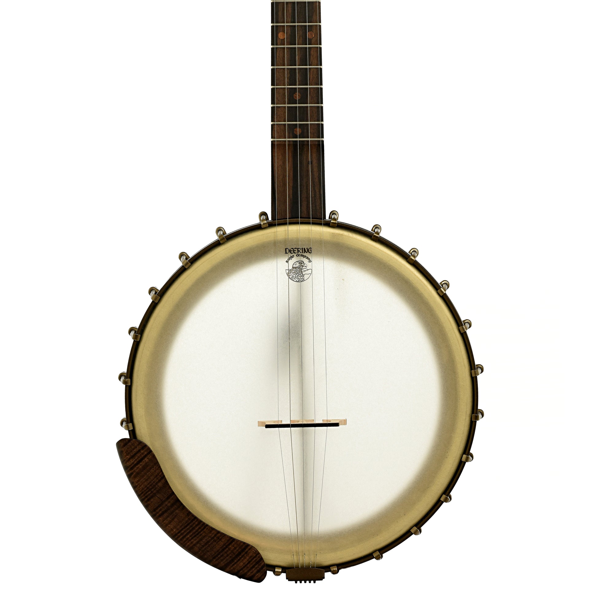Front of Vega Vintage Star 12" Open Back Banjo