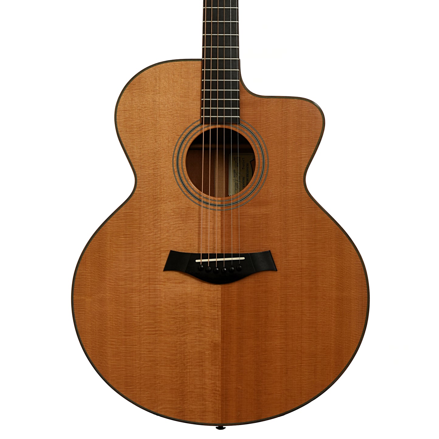 Front of Taylor LKSM-6 Leo Kottke Signature Model