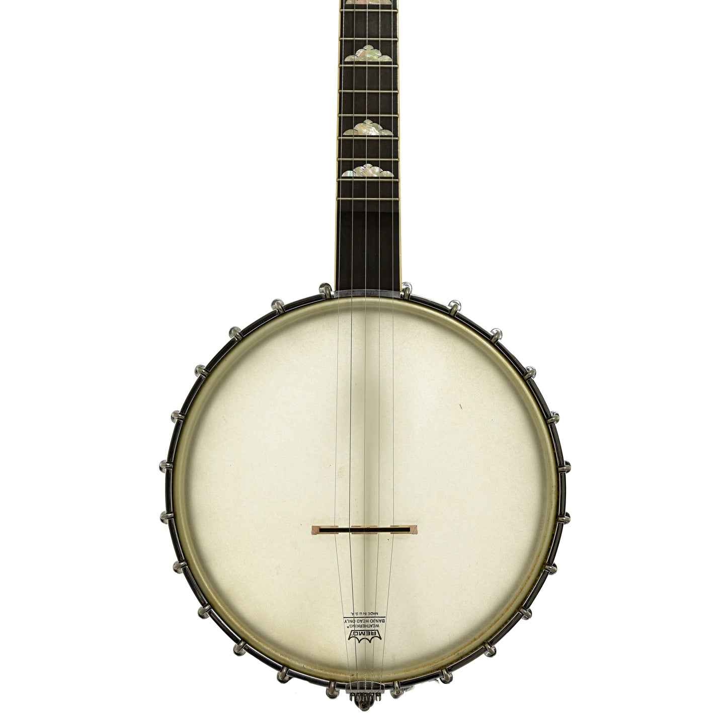 Front of Gold Tone WL-250 Whyte Laydie Open Back Banjo