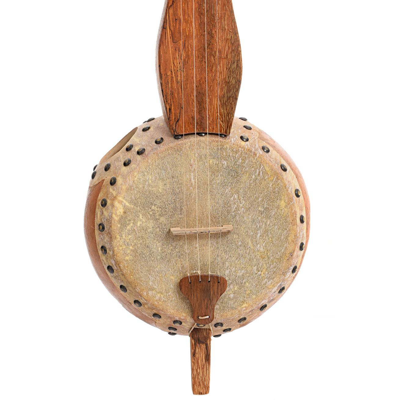 Front of Menzies Fretless 4-String Gourd Banjo #509