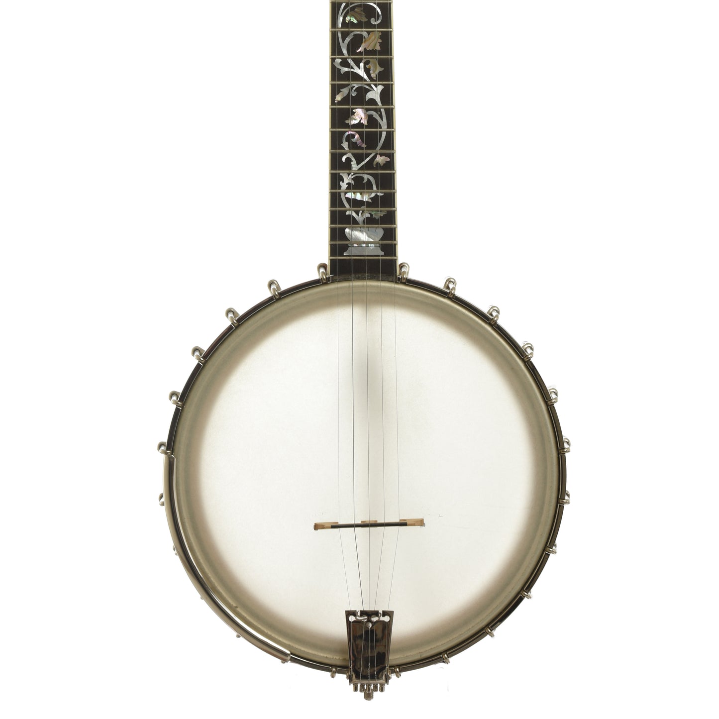 Front of Wildwood Balladeer Openback Banjo