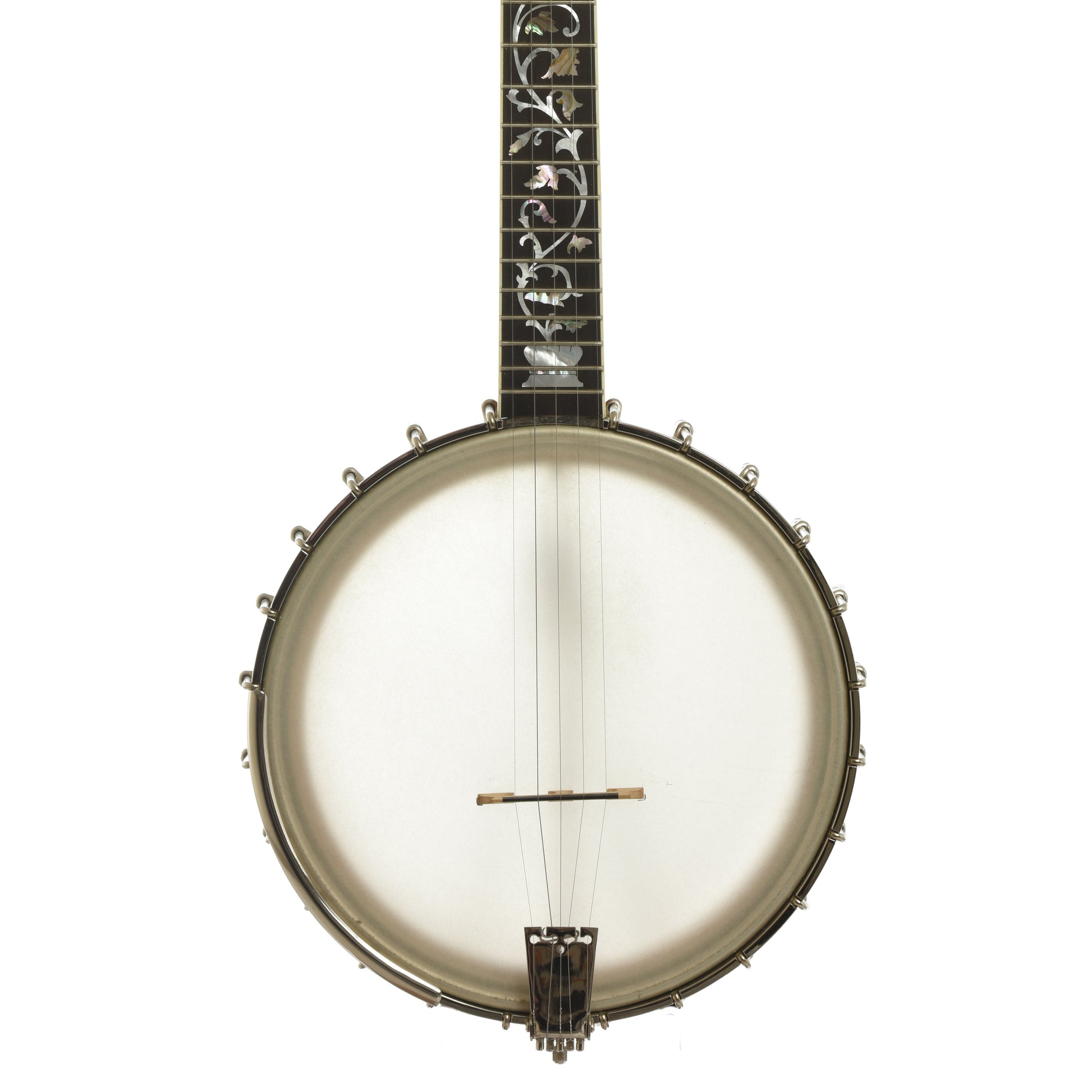 Front of Wildwood Balladeer Openback Banjo