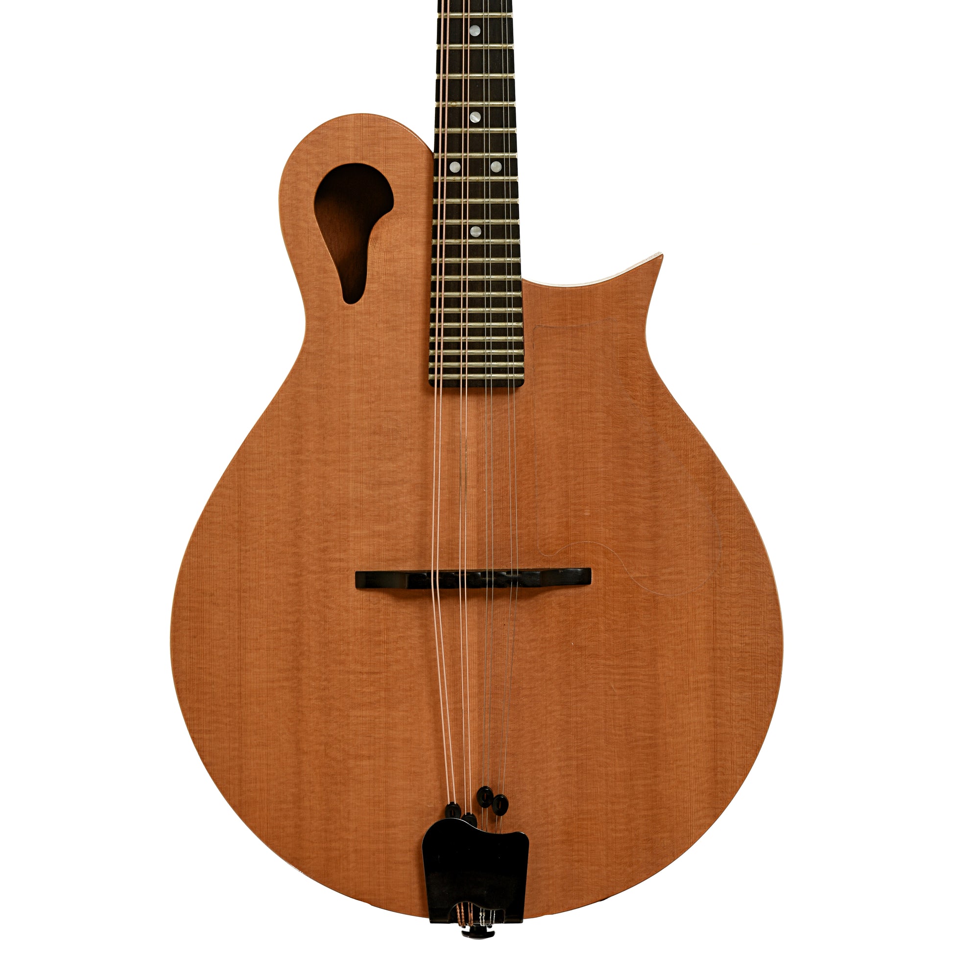 Front of Tacoma M-1 Mandolin