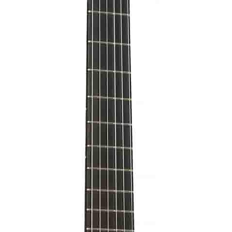 Fretboard of Master Series Torres Classical