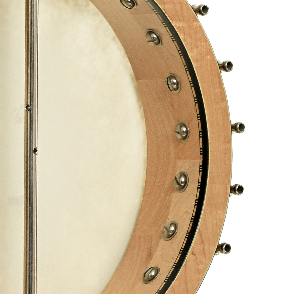 Inside rim of Wildwood Artist Open Back Banjo