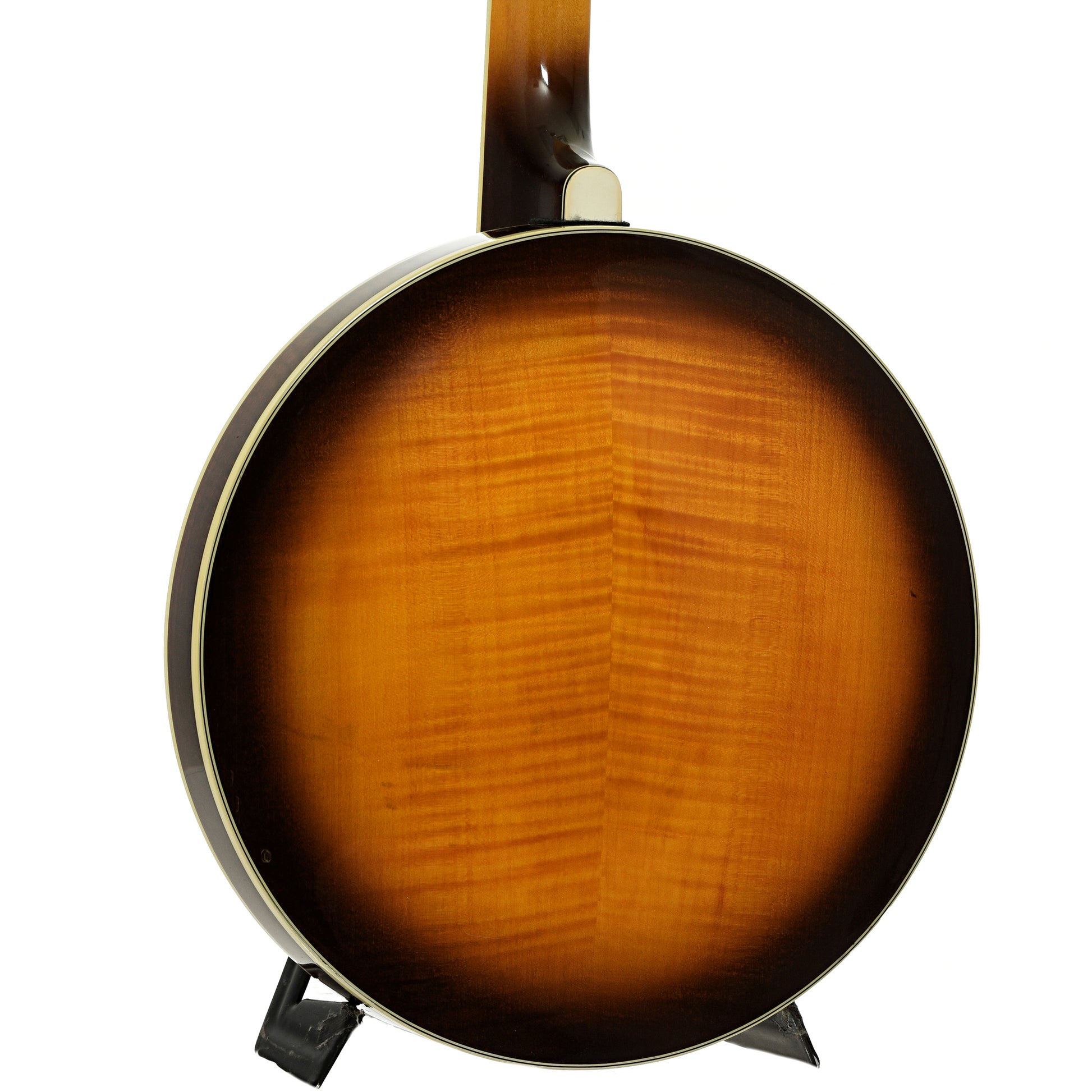 Back and side of Fender FB-58 Resonator Banjo 