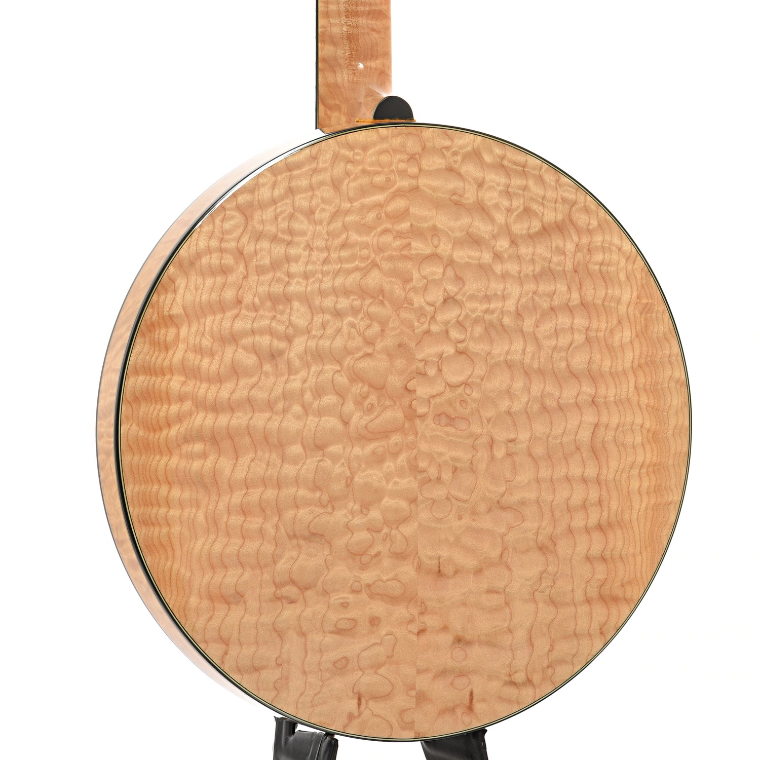Back and side of Stelling Tree of Life Custom Resonator Banjo