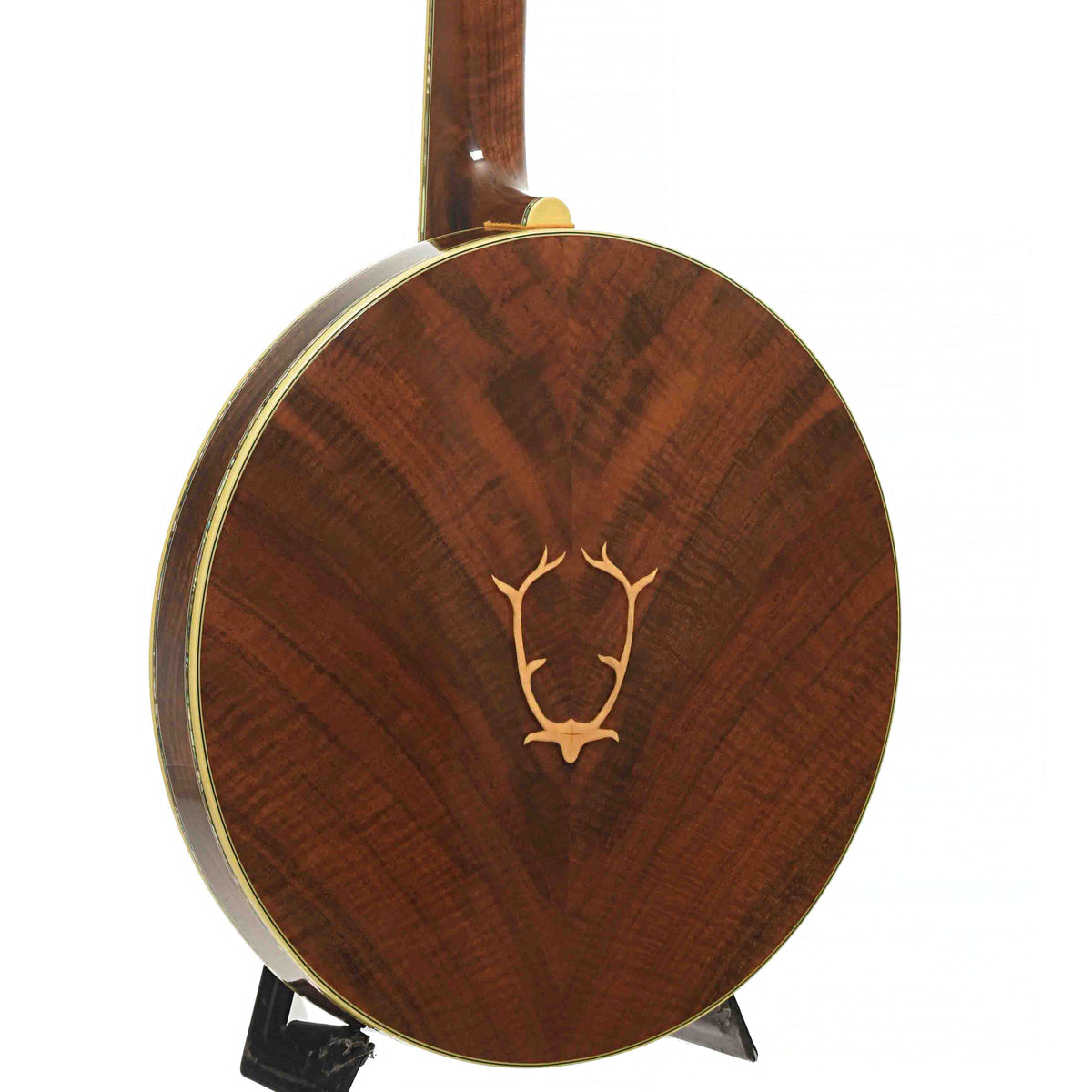 Back & Side of Stelling Staghorn Resonator Banjo