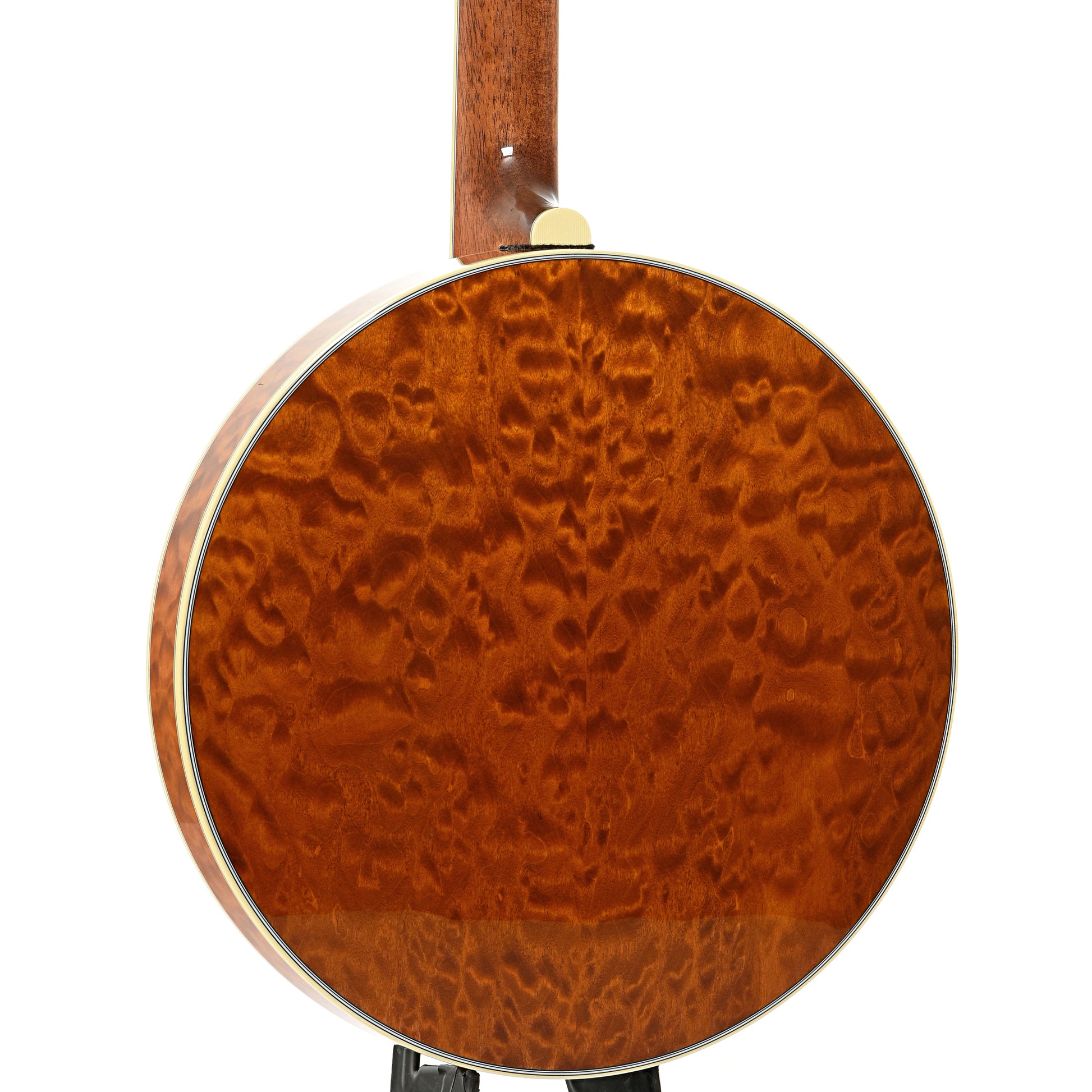 Back and side of Deering Silver Clipper Banjo