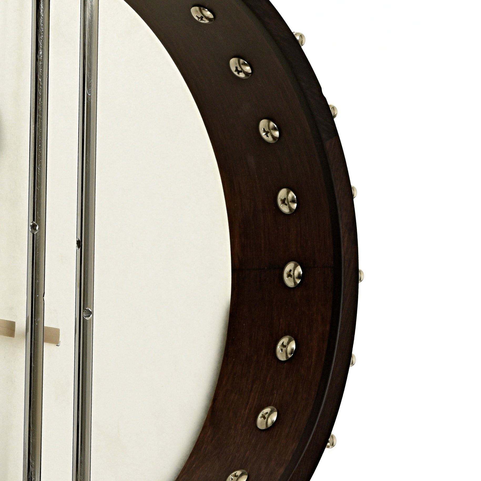 Inside rim of Gold Tone Irish Tenor Banjo 