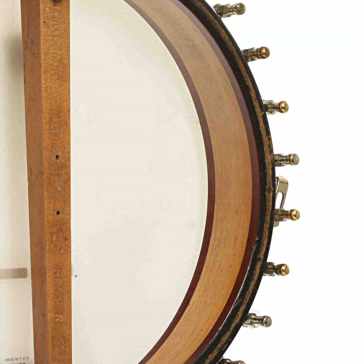 Back & Interior Rim of Vega Whyte Laydie Style R Tenor Banjo