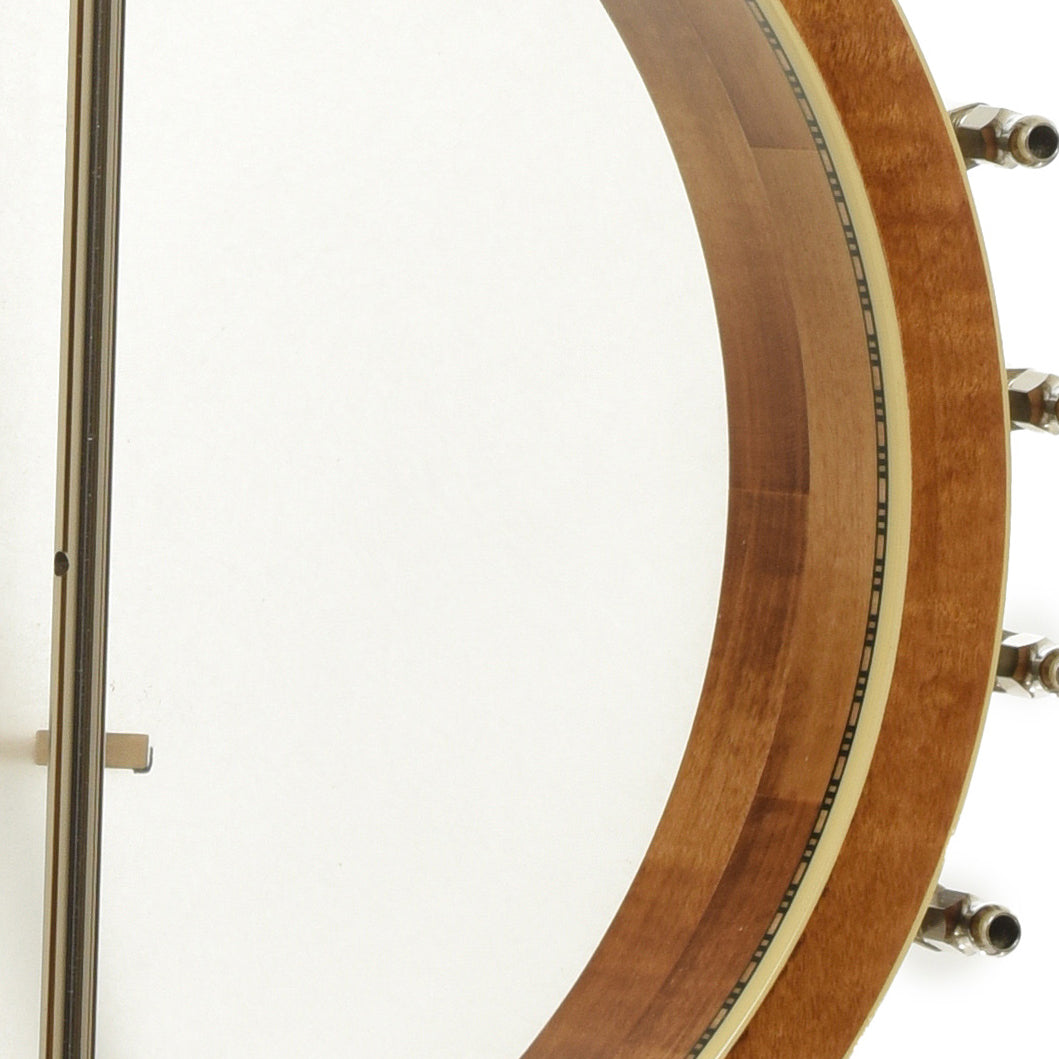 inside rim of Wildwood Balladeer Openback Banjo