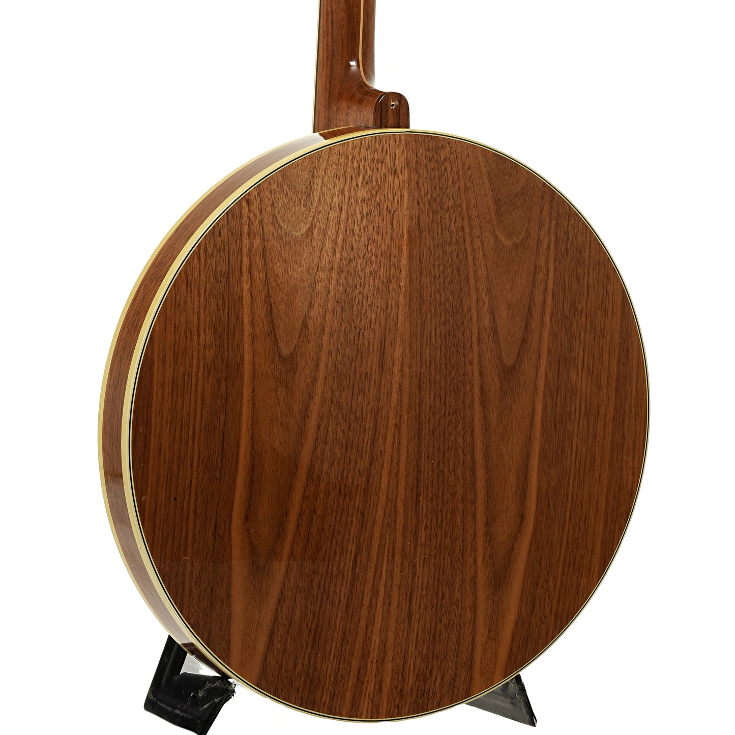 Back and side of Fender Artist Tenor Banjo