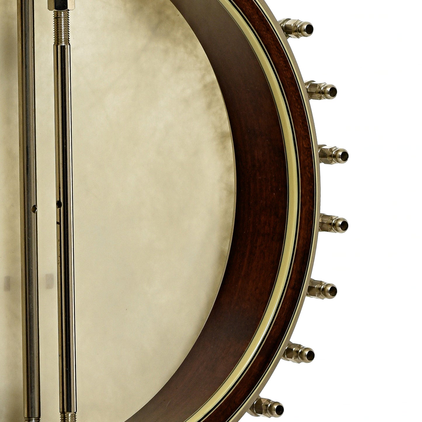 Inside rim of Prucha Premium Griffon Open Back Banjo 