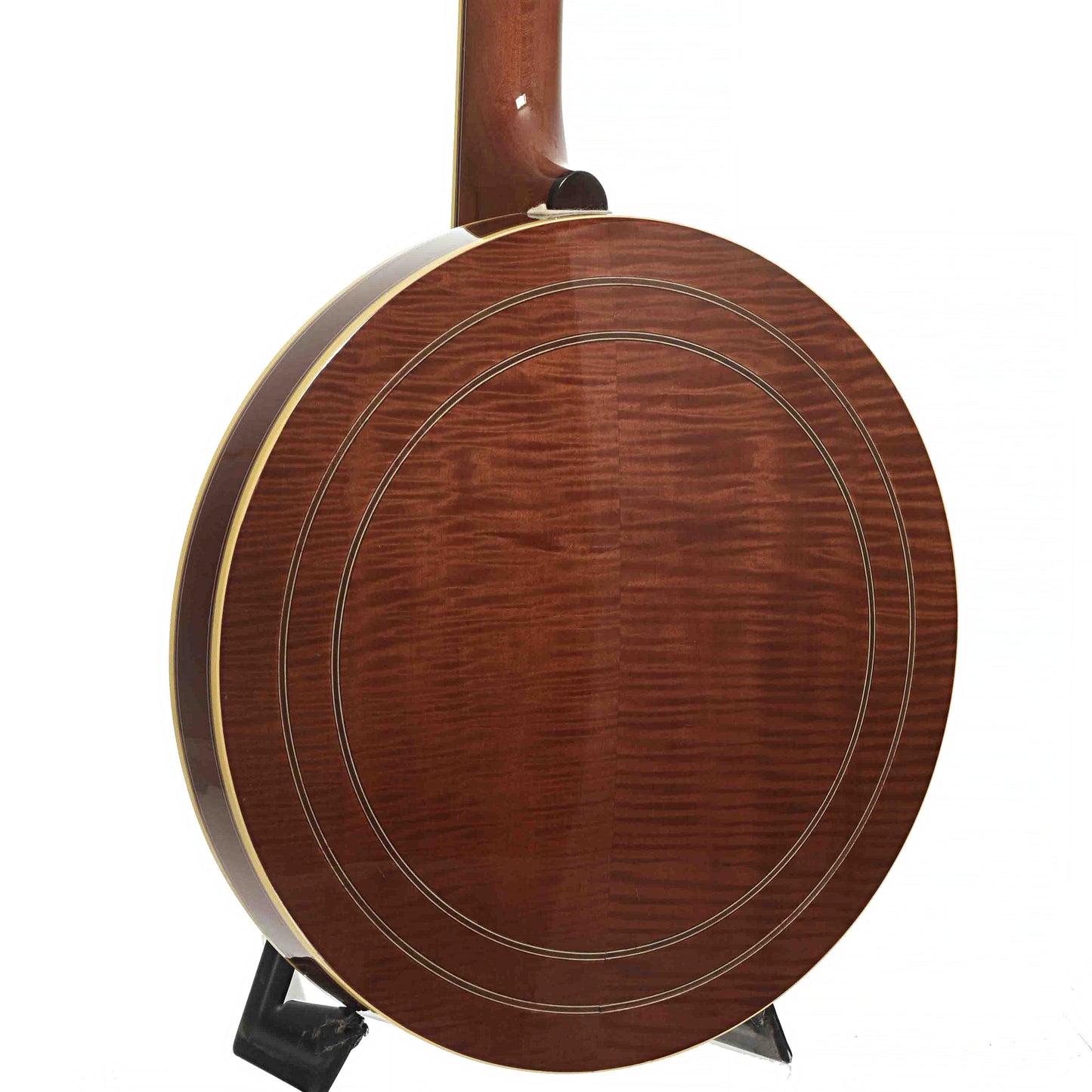 Back & Side of Washburn B-16
