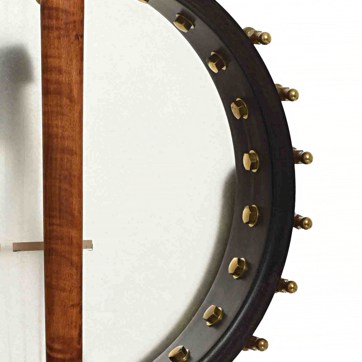 Back & Interior Rim of Starr Gold Hill Limited Edition 11" Openback Banjo