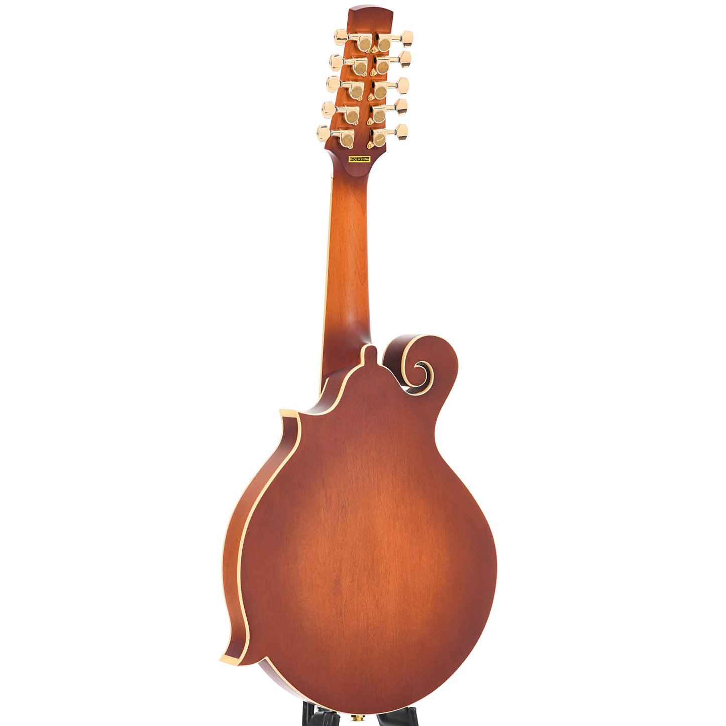 Full back and side of Gold Tone F-10 10-String Mandolin 