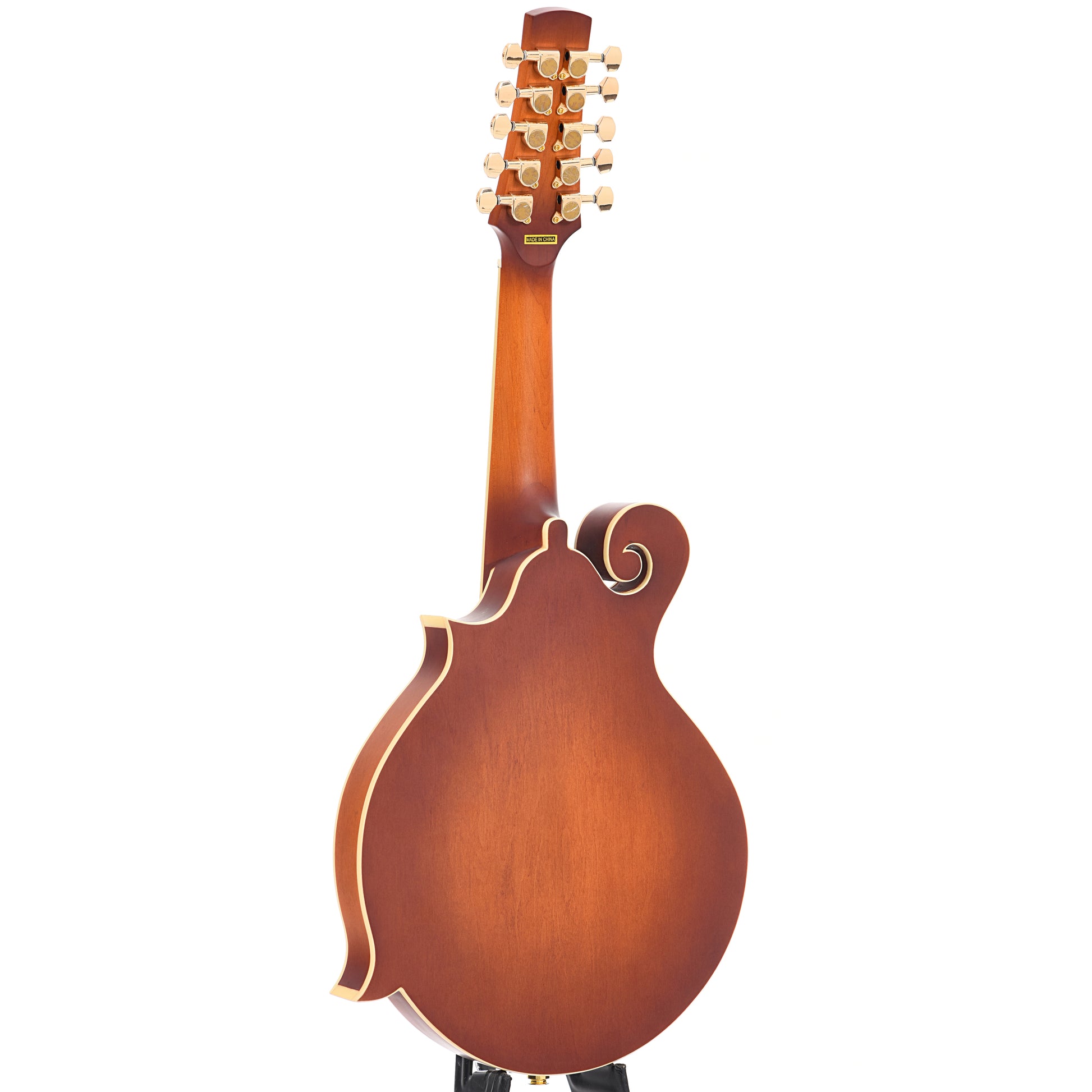 Full back and side of Gold Tone F-10 10-String Mandolin 