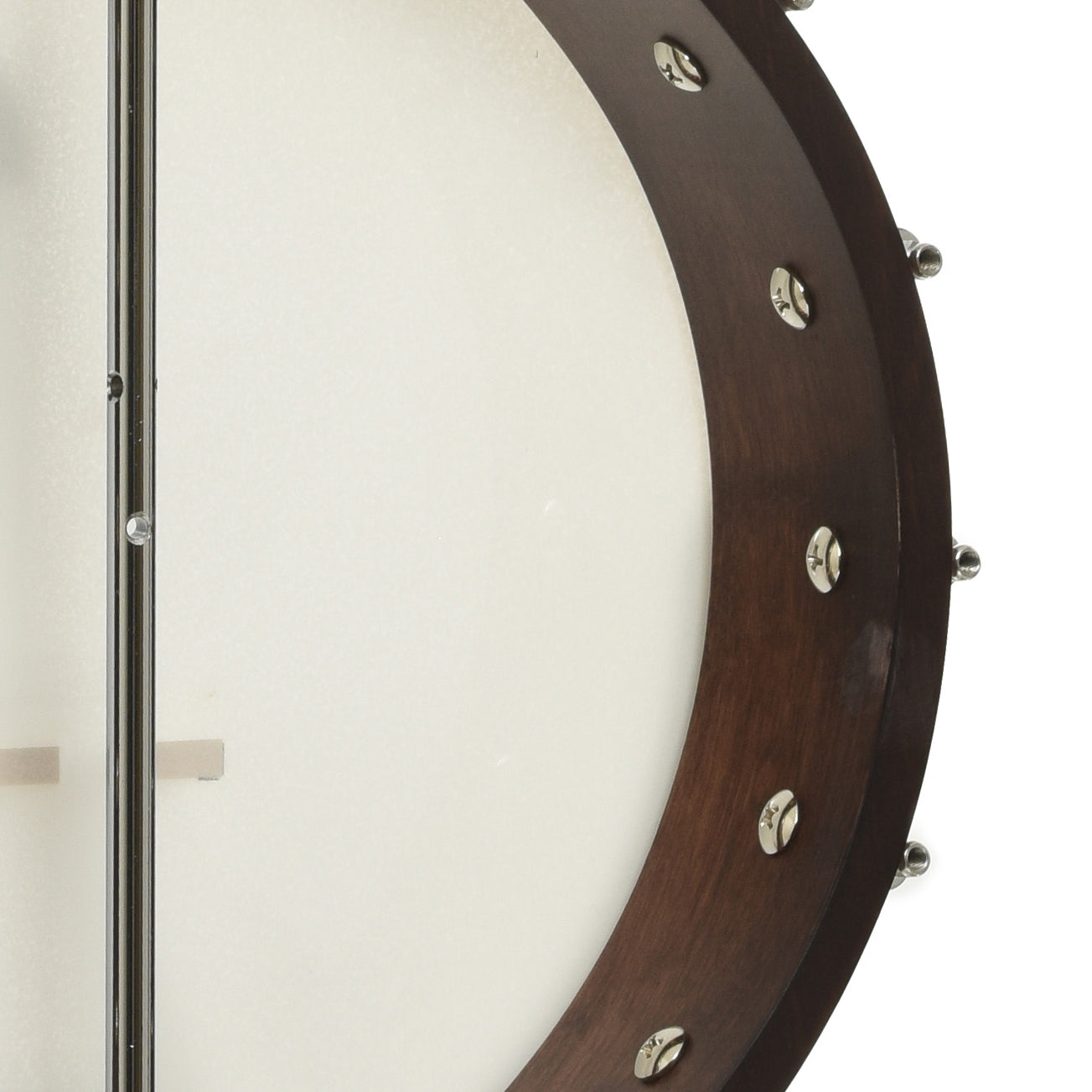 Inside rim of Gold Tone CC-50 Cripple Creek Open Back Banjo