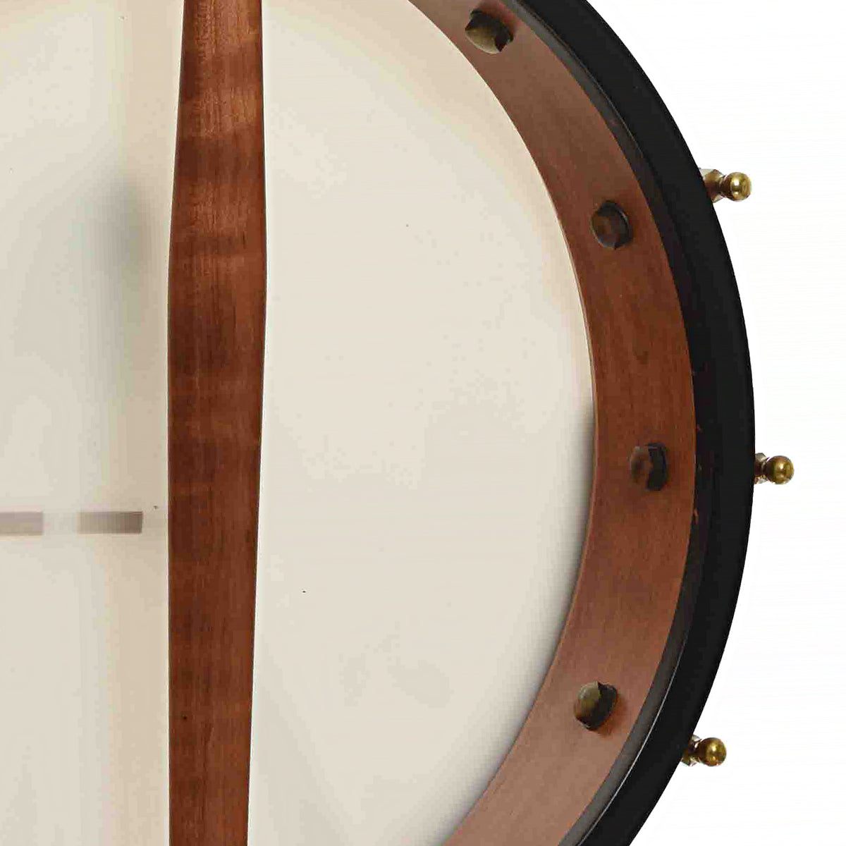 Interior Rim of Ome Tupelo Cherry 12 in. Openback Banjo