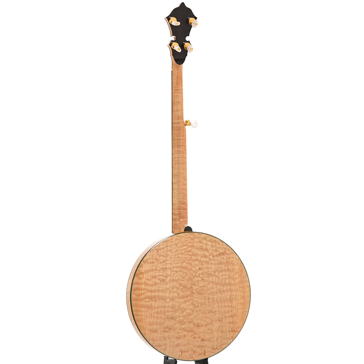 Full back and side of Stelling Tree of Life Custom Resonator Banjo