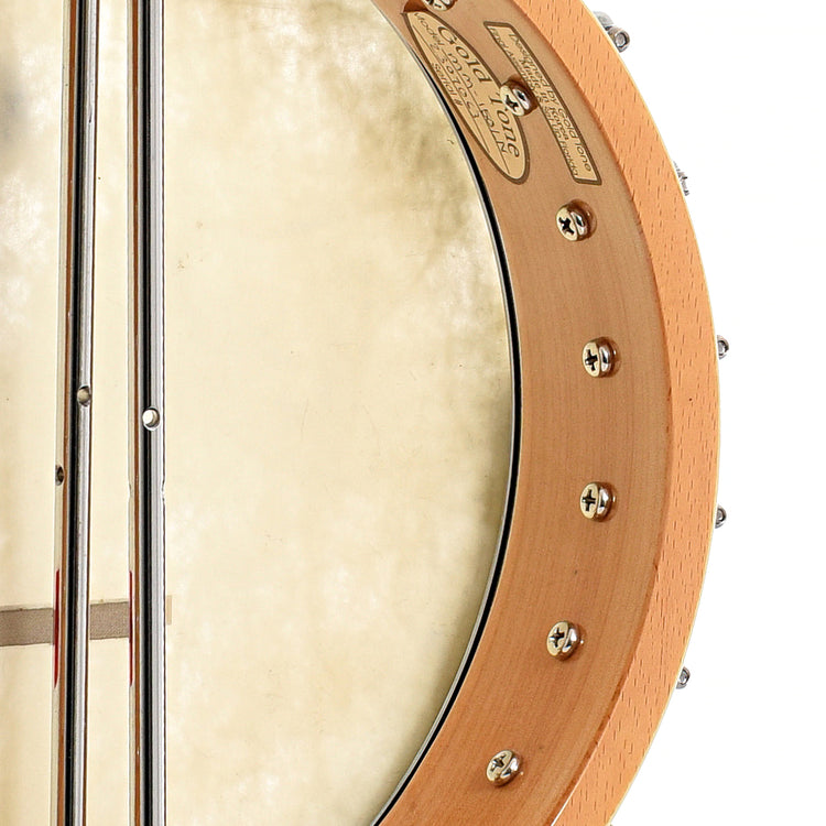 Inside rim of Gold Tone MM150LN Extra Longneck Banjo (2003)