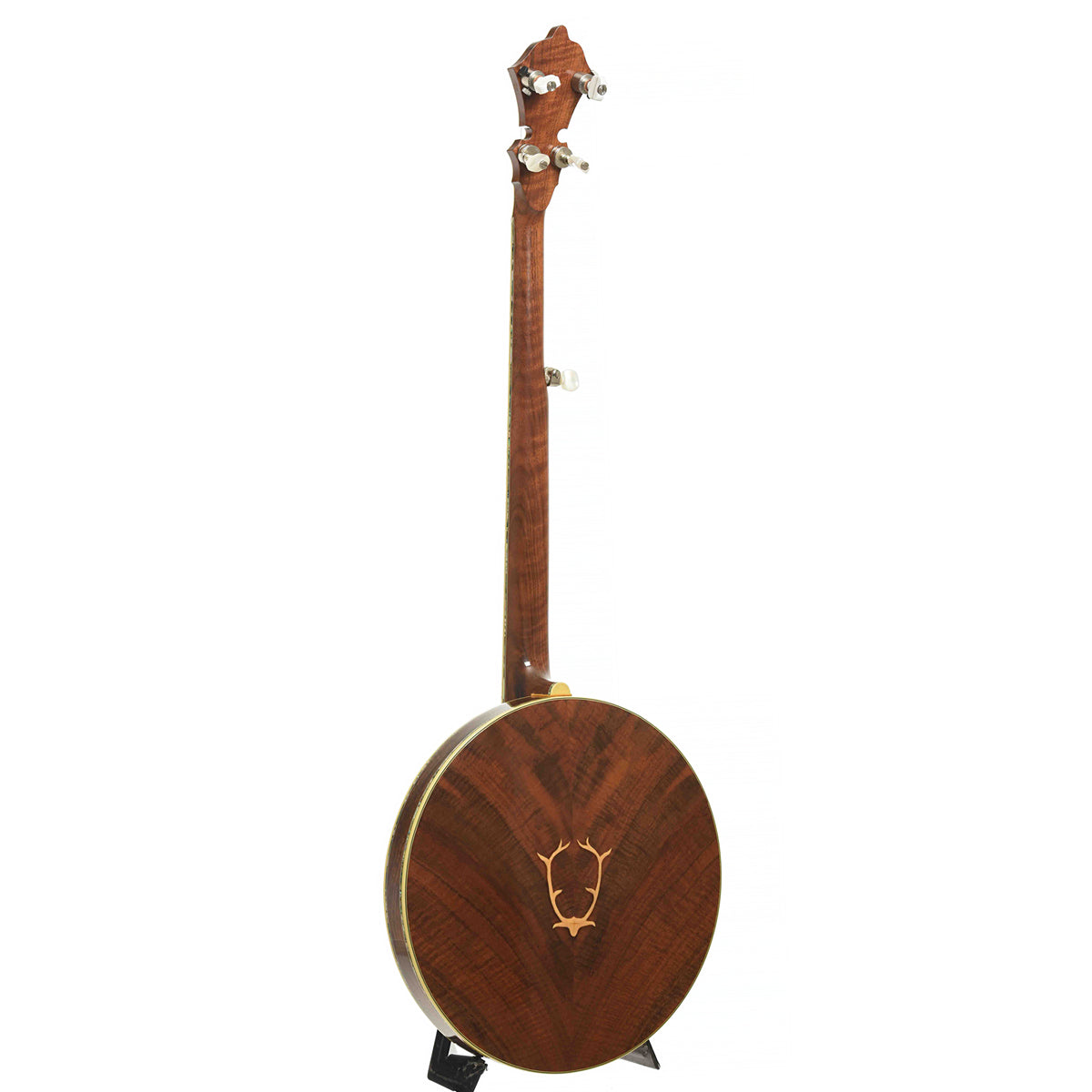 Full Back & Side of Stelling Staghorn Resonator Banjo
