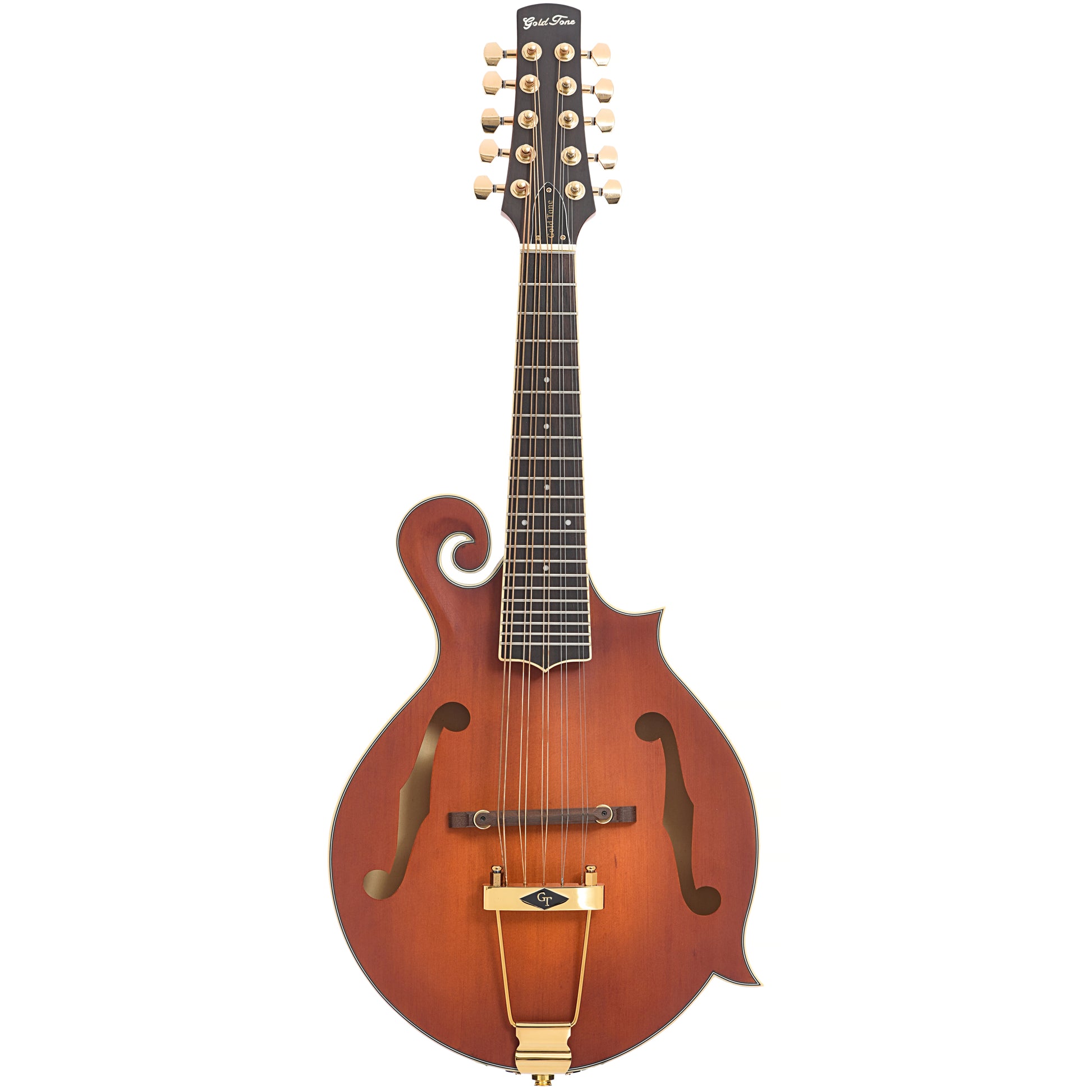 Full front of Gold Tone F-10 10-String Mandolin 