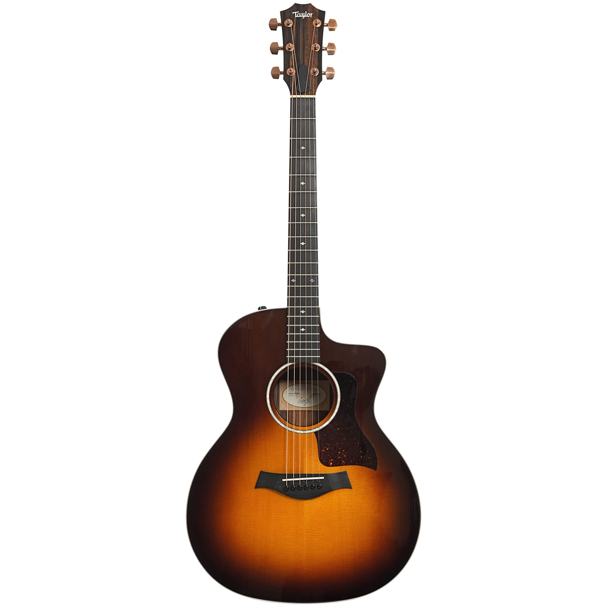 Full front of Taylor 214ce-SB DLX Acoustic-Electric Guitar (2020)