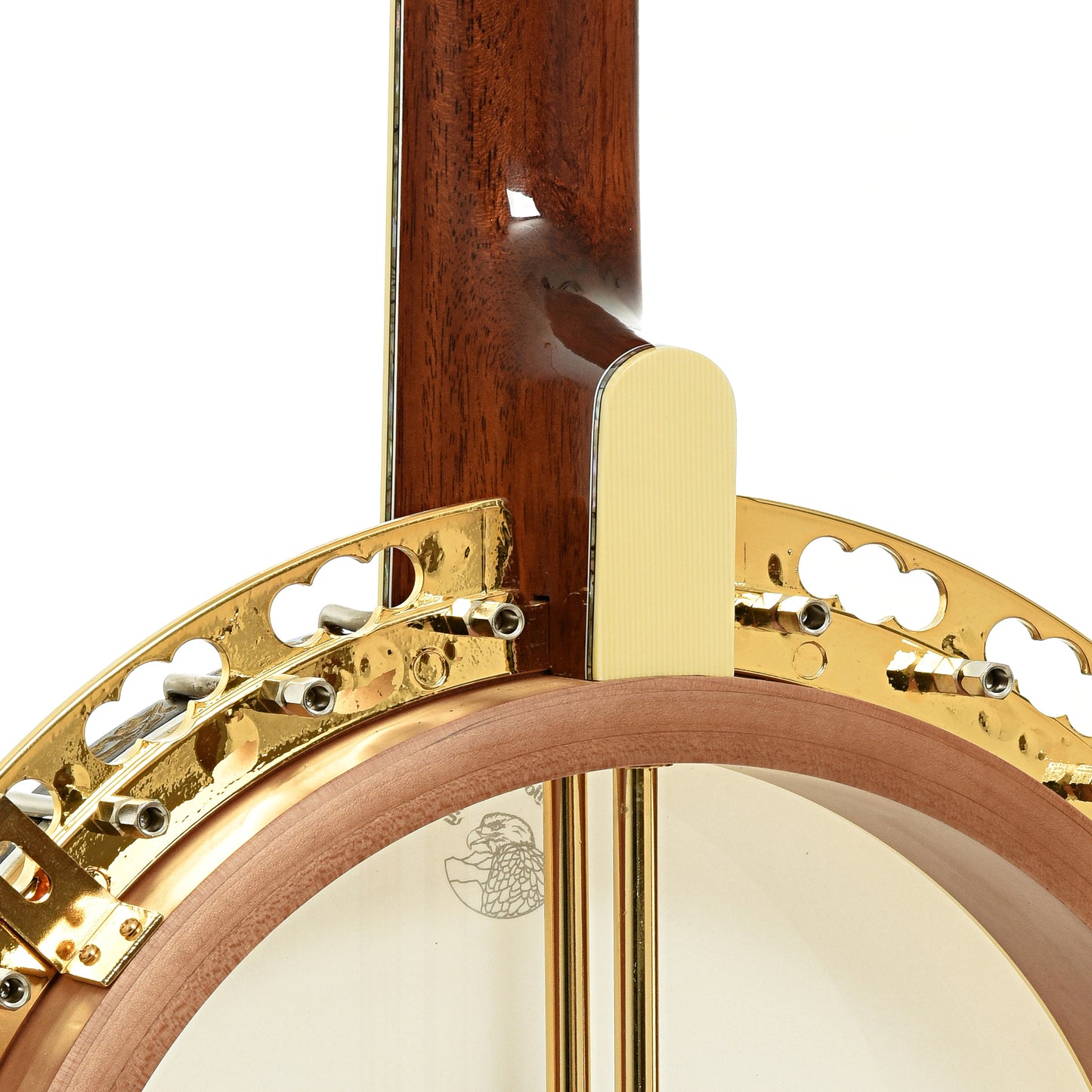 Deering Tony Trischka Golden Clipper Resonator Banjo (2018)