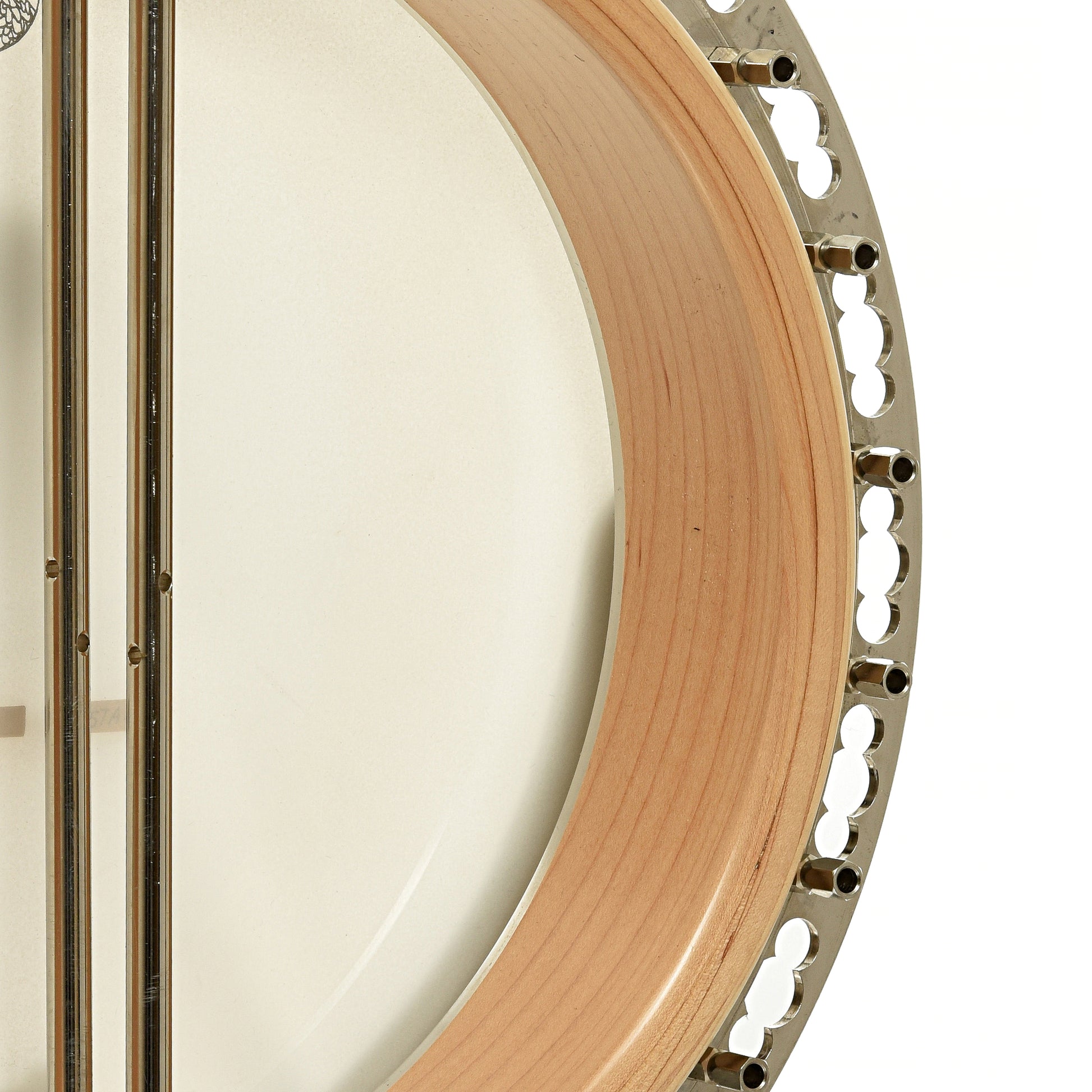 Inside rim of Deering Calico Resonator Banjo