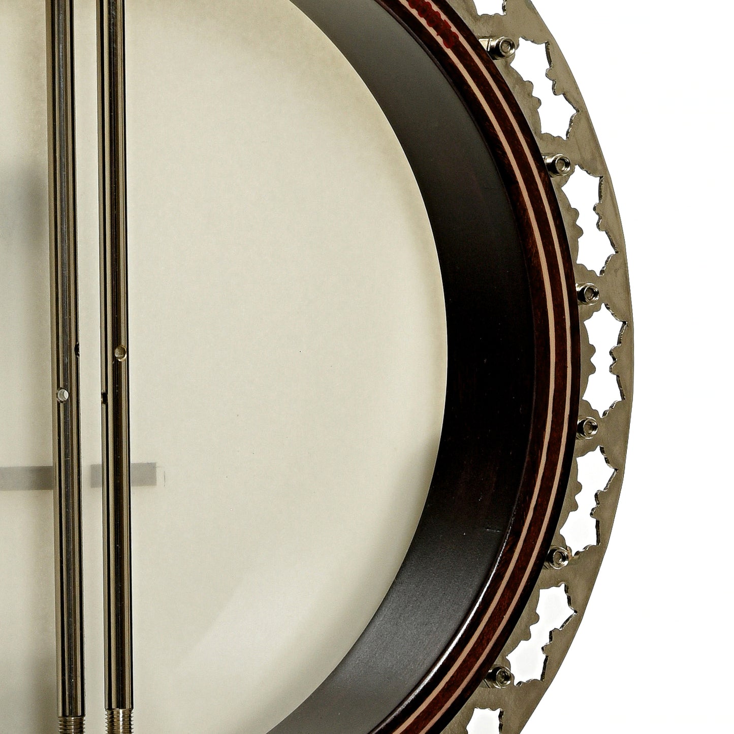 Stelling Sunflower Resonator Banjo (2012)