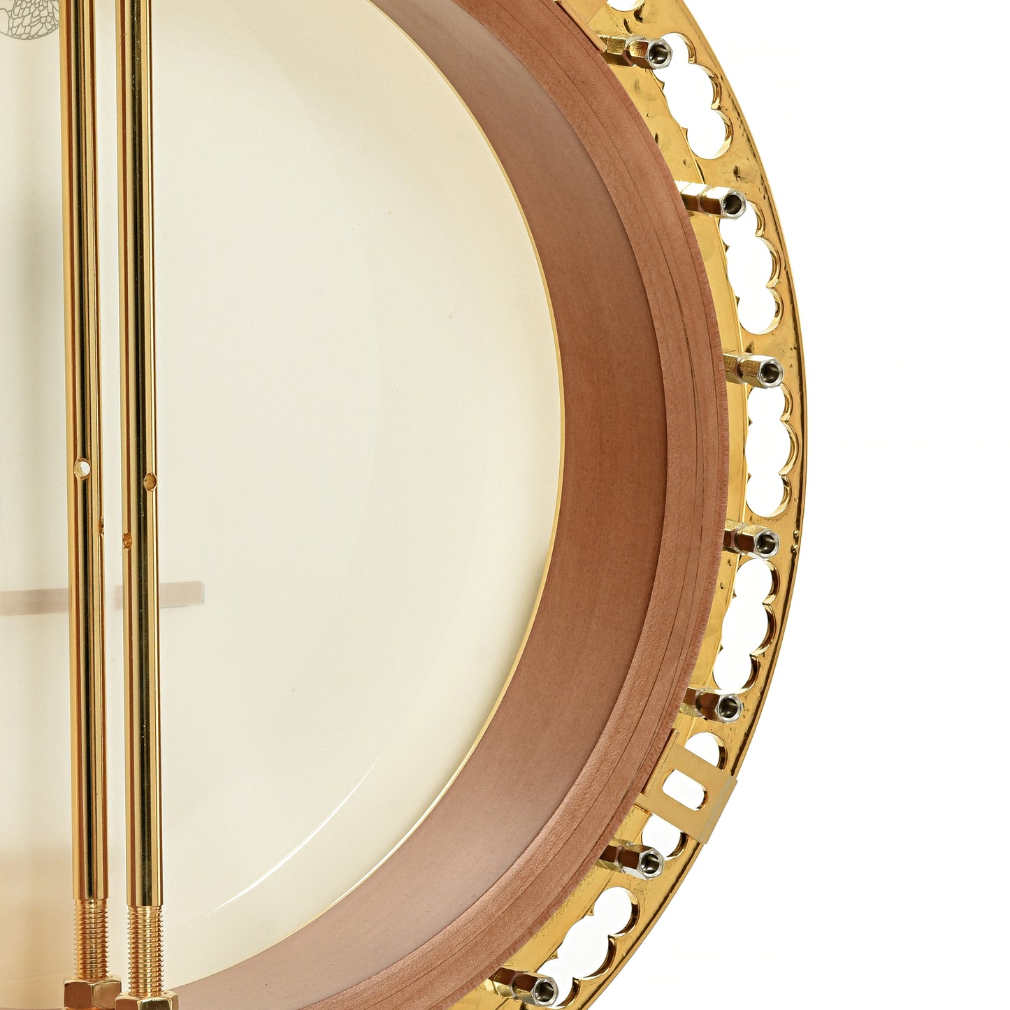 Deering Tony Trischka Golden Clipper Resonator Banjo (2018)