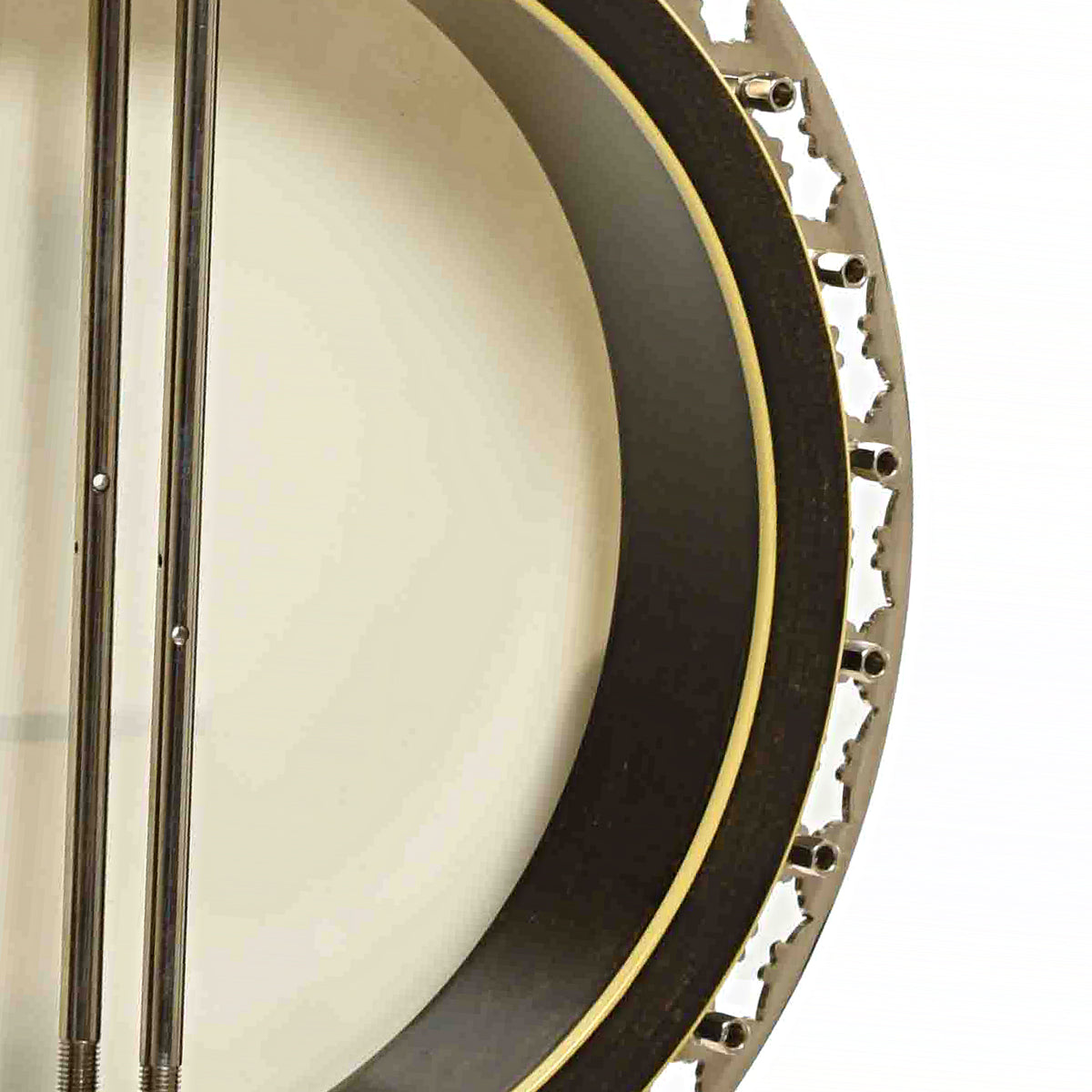 Interior of Rim of Stelling Staghorn Resonator Banjo