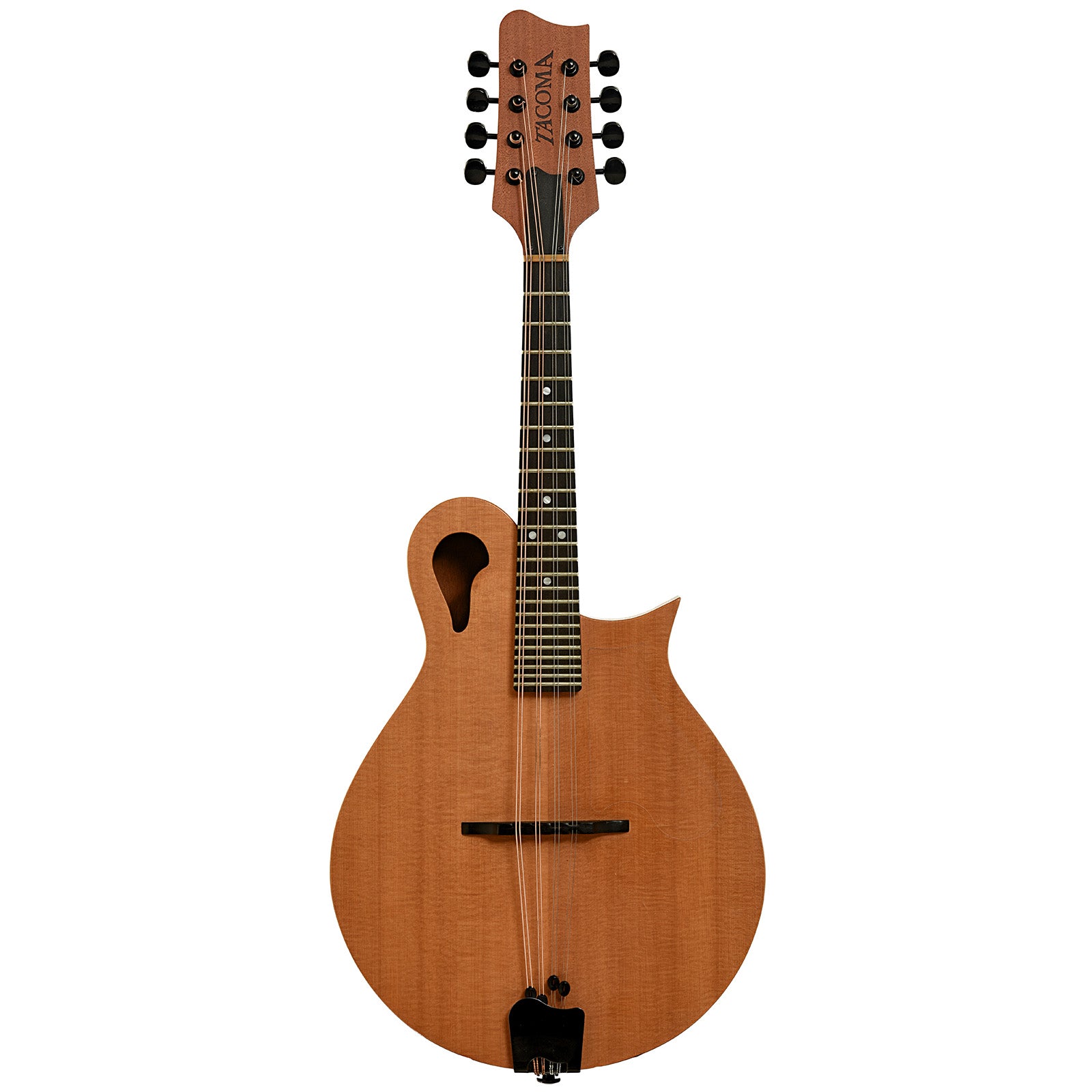 Tacoma M-1 Mandolin (1999) – Elderly Instruments