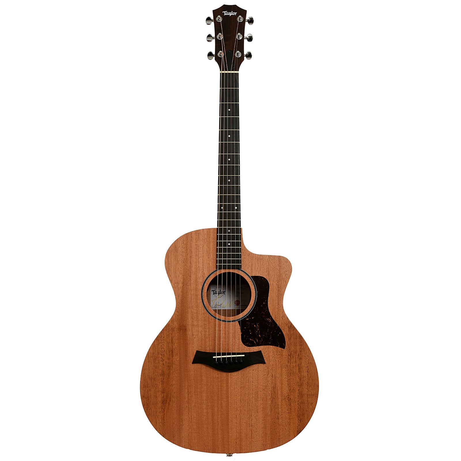 Taylor 24ce Acoustic-Electric Guitar & Gigbag – Elderly Instruments