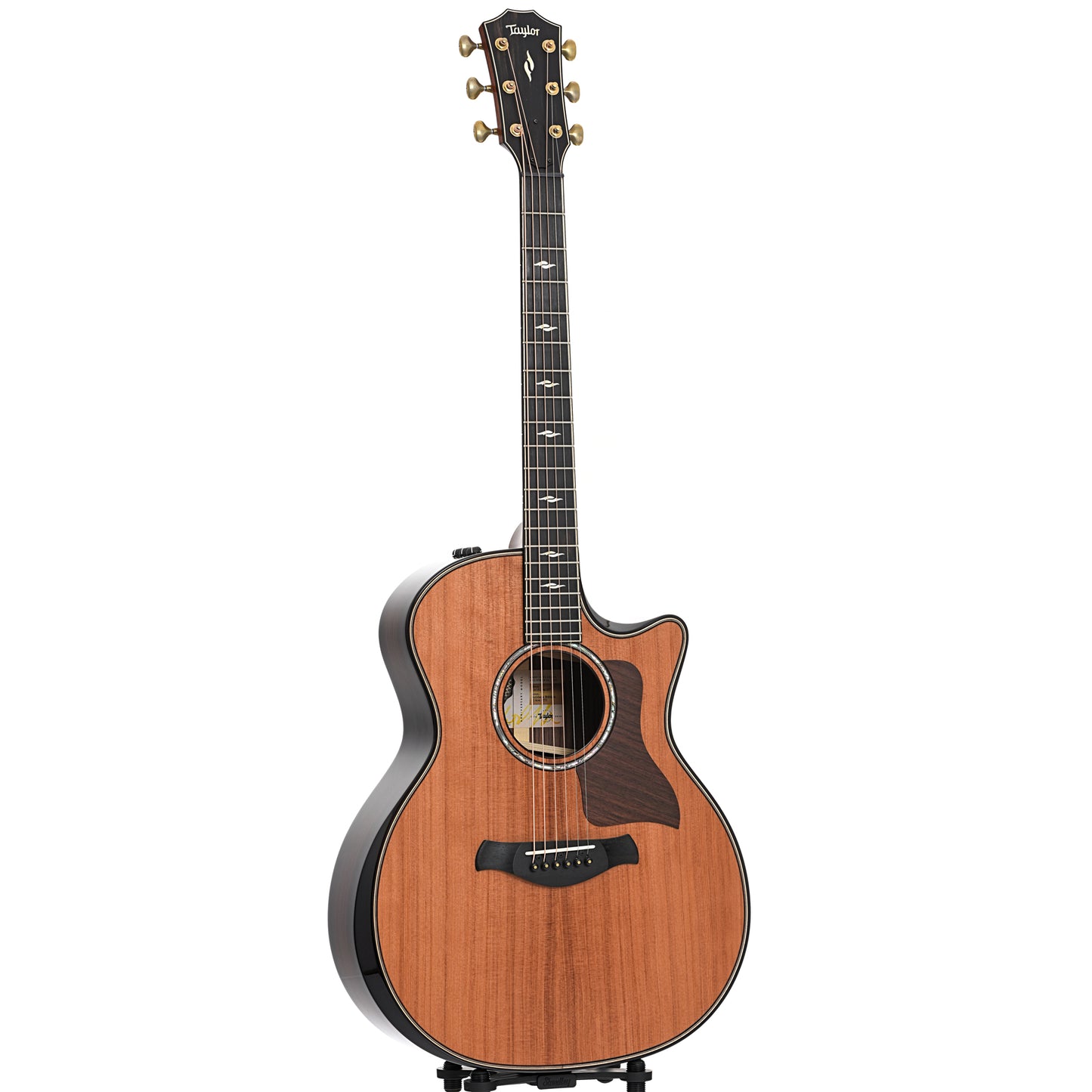 Full front and side of Taylor 50th Anniversary Builder's Edition 814ce LTD Acoustic Guitar 