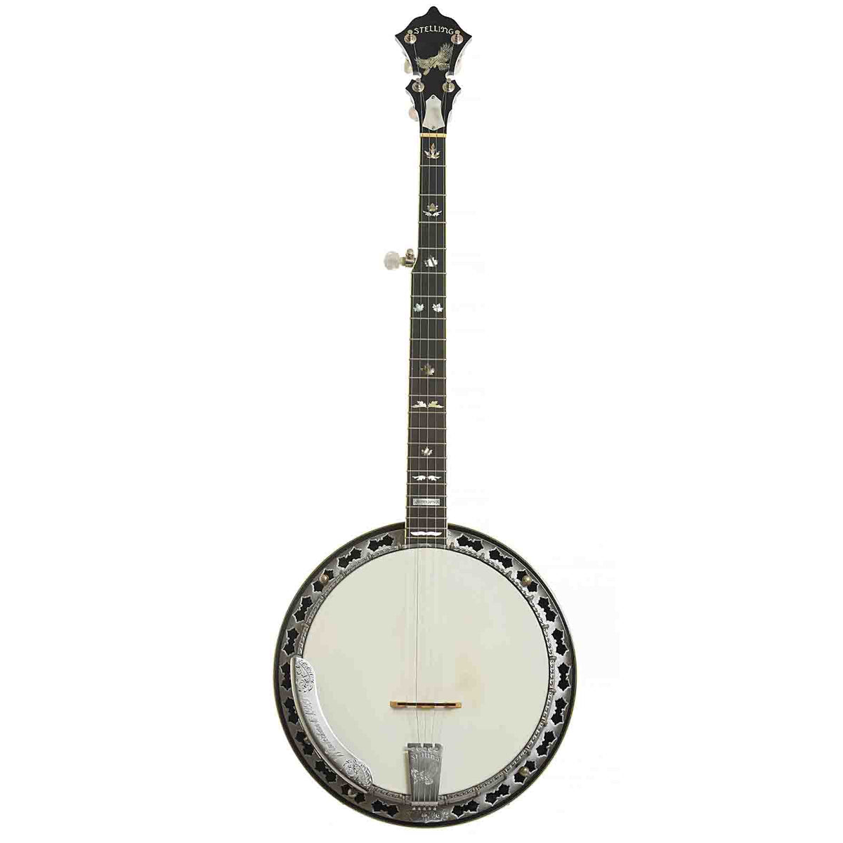 Full Front of Stelling Winterhawk #7 Five-String Resonator Banjo