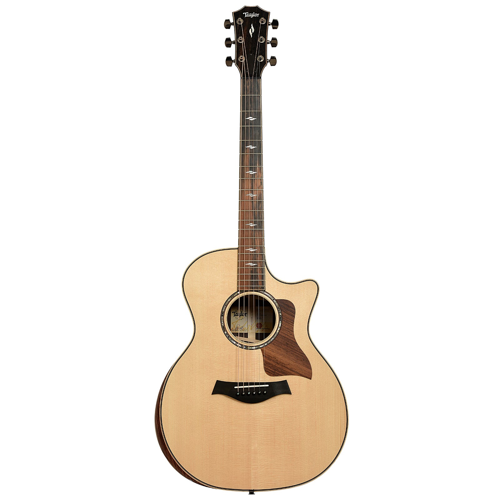 Full front of Taylor Next Generation 814ce Acoustic Guitar