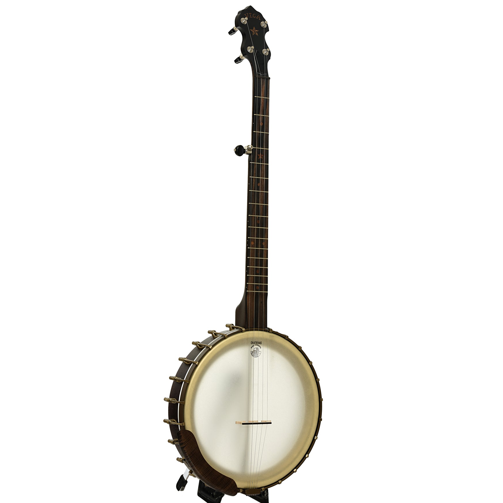 Full front and side of Vega Vintage Star 12" Open Back Banjo
