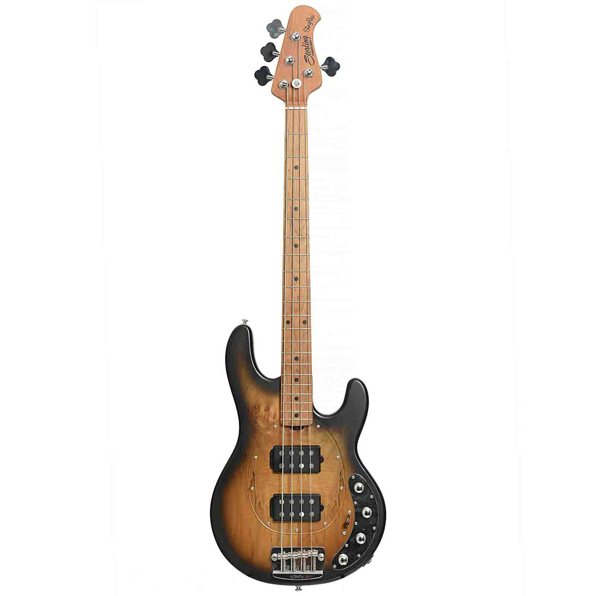 Full front of Stingray 34HH Spalted Maple Electric Bass