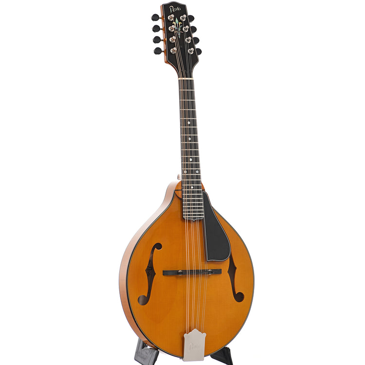 Full front and side of Pava A5 Pro Model Mandolin, Honey Amber