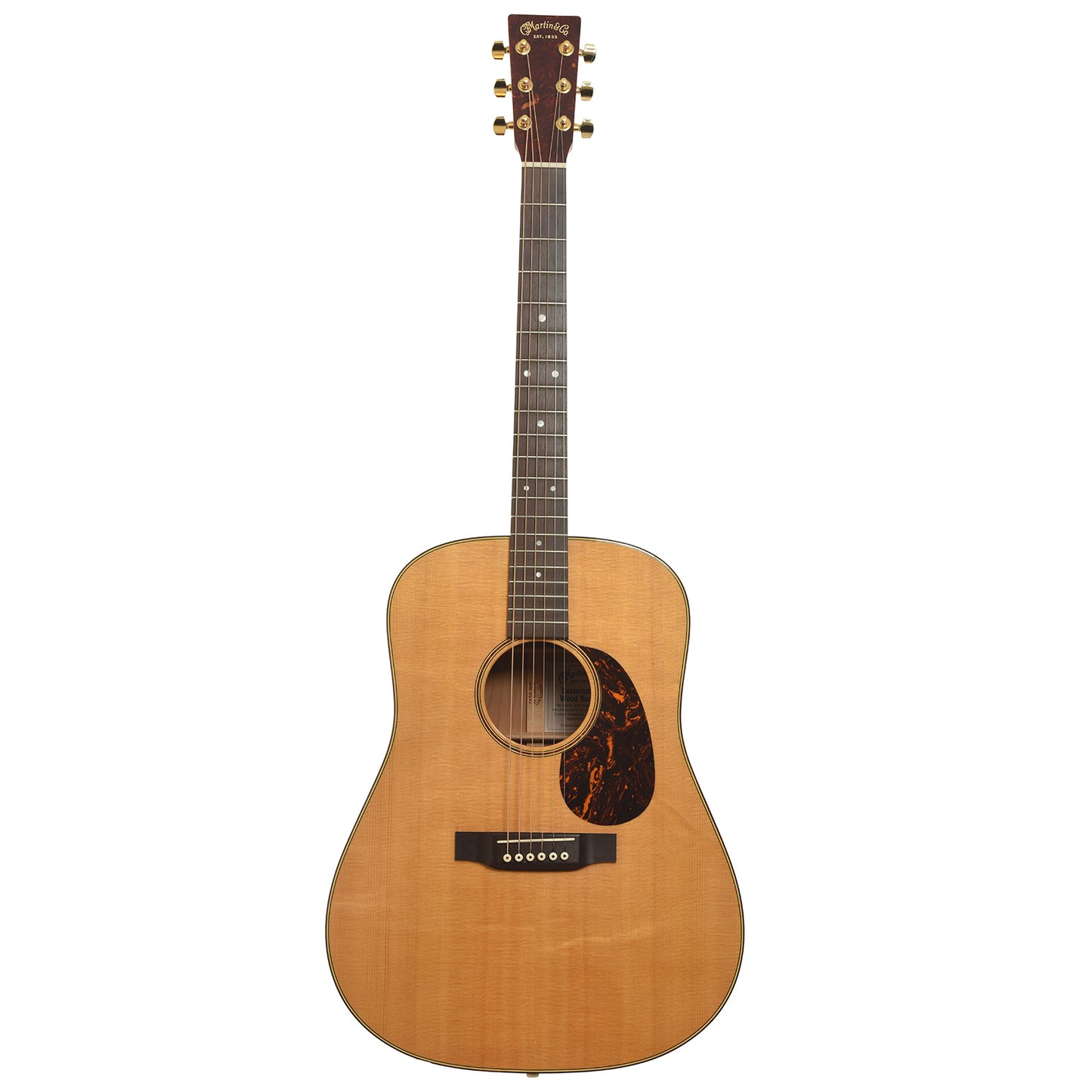 Full back and side of Martin SWDGT Acoustic Guitar