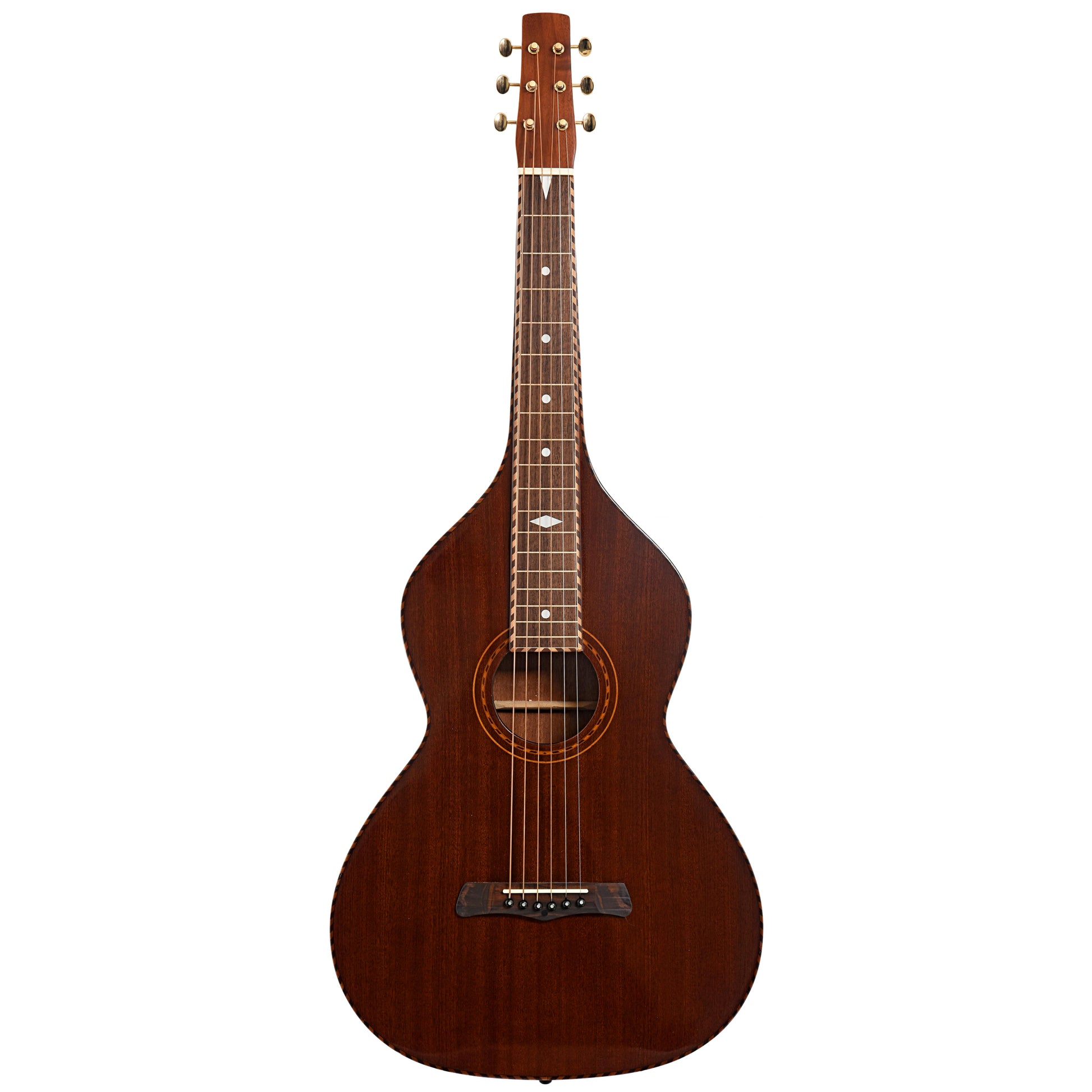 Full front of Gold Tone SM Weissenborn Plus & Case, Shopworn