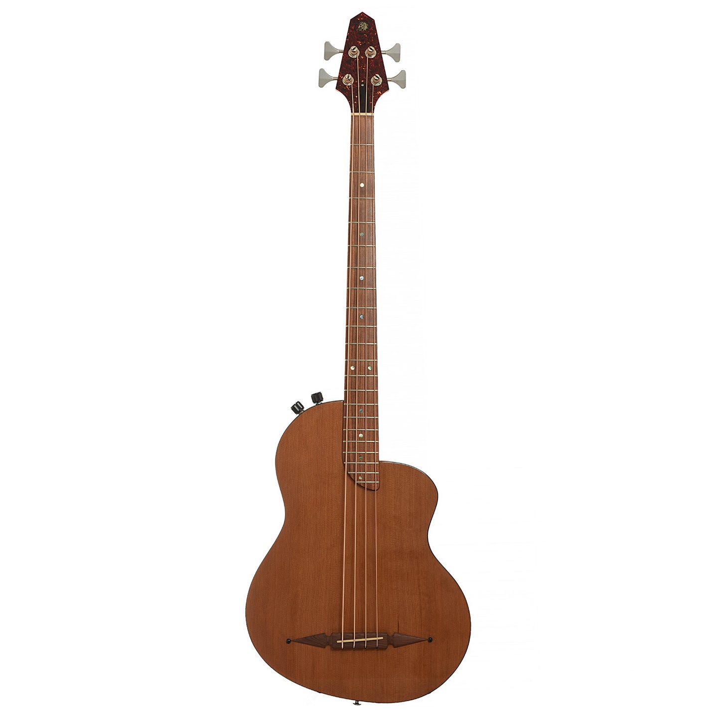 Full front of Rick Turner RB-4 Acoustic-Electric Bass
