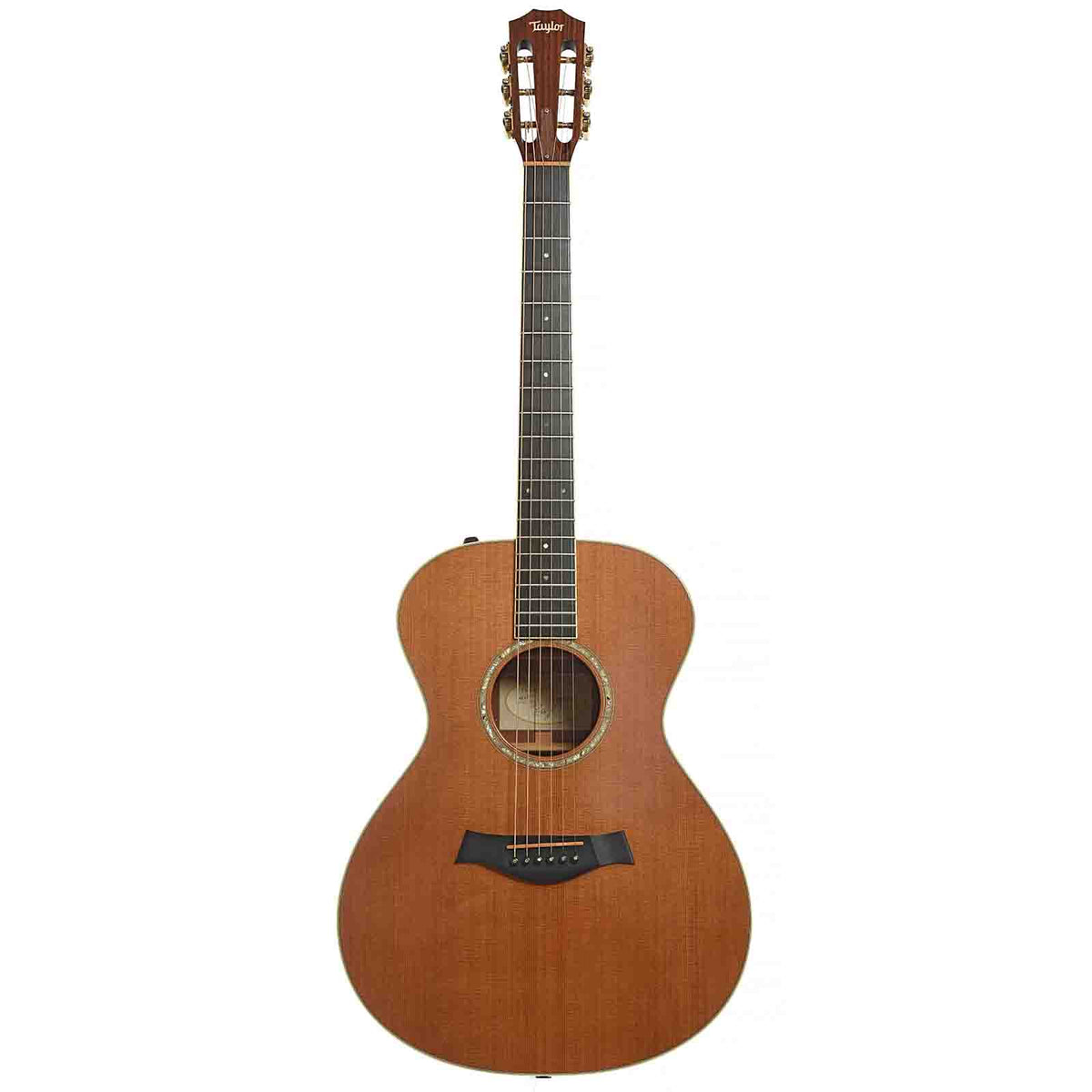 Full front of Taylor GC5