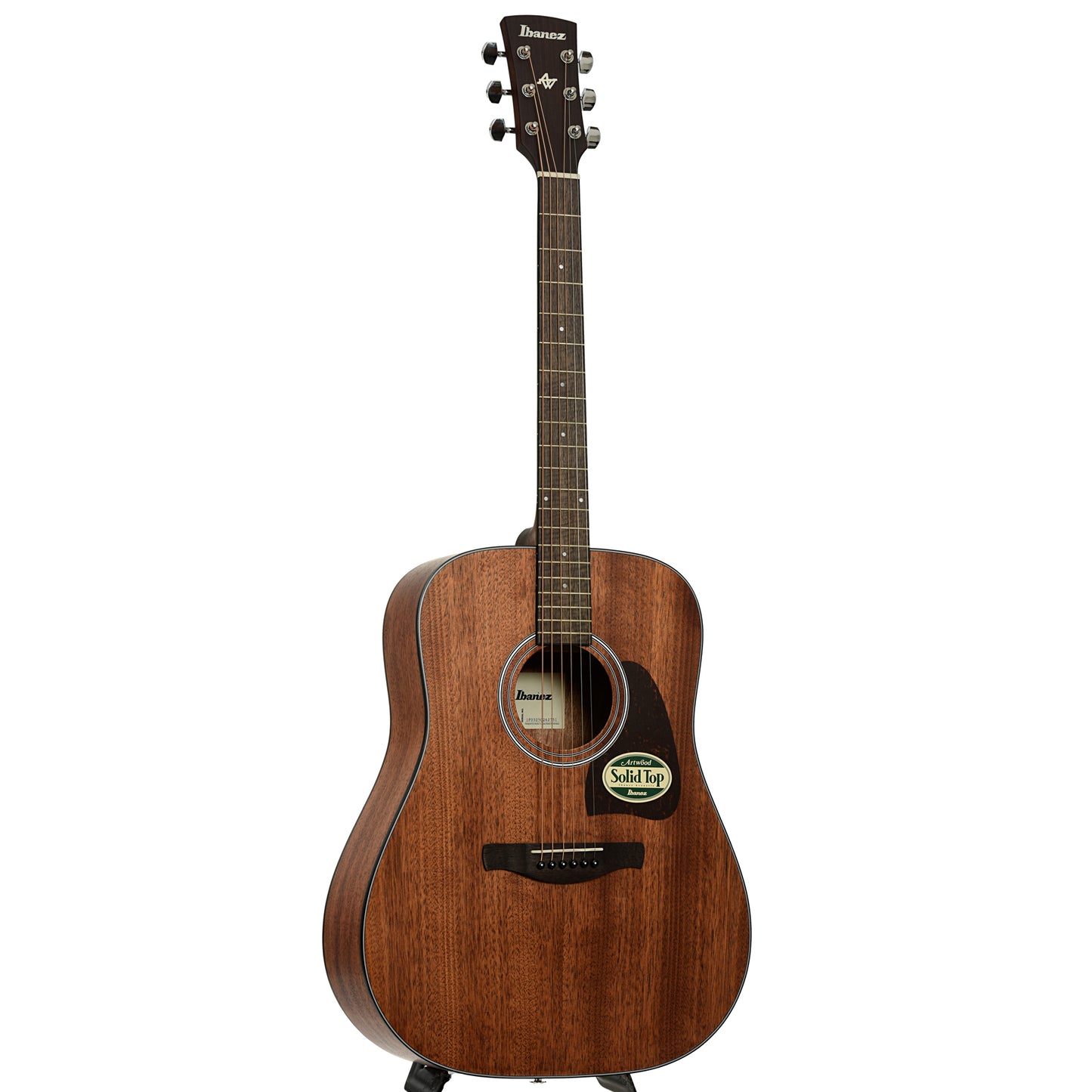 Full front and side of Ibanez Artwood Dreadnought Acoustic Guitar